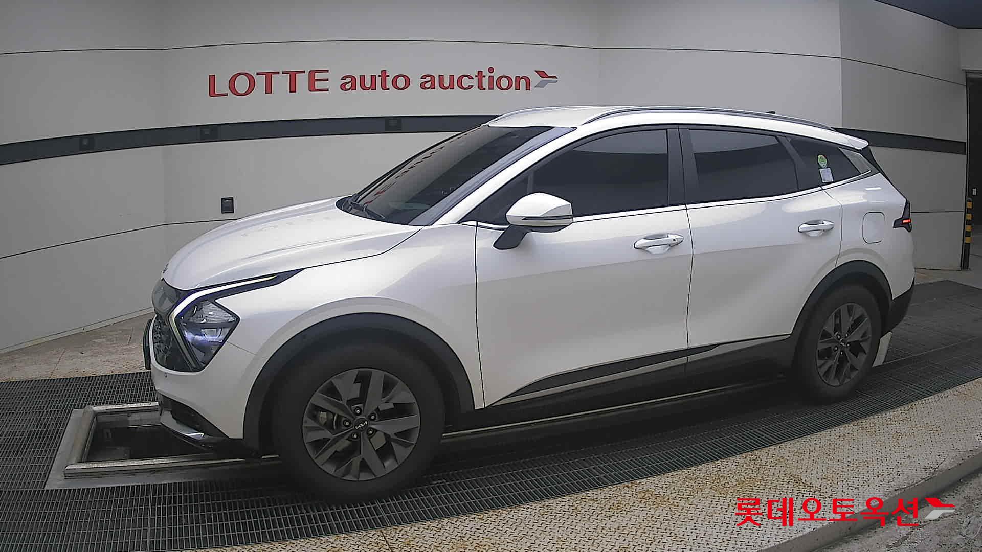 2023 - kia sportage
