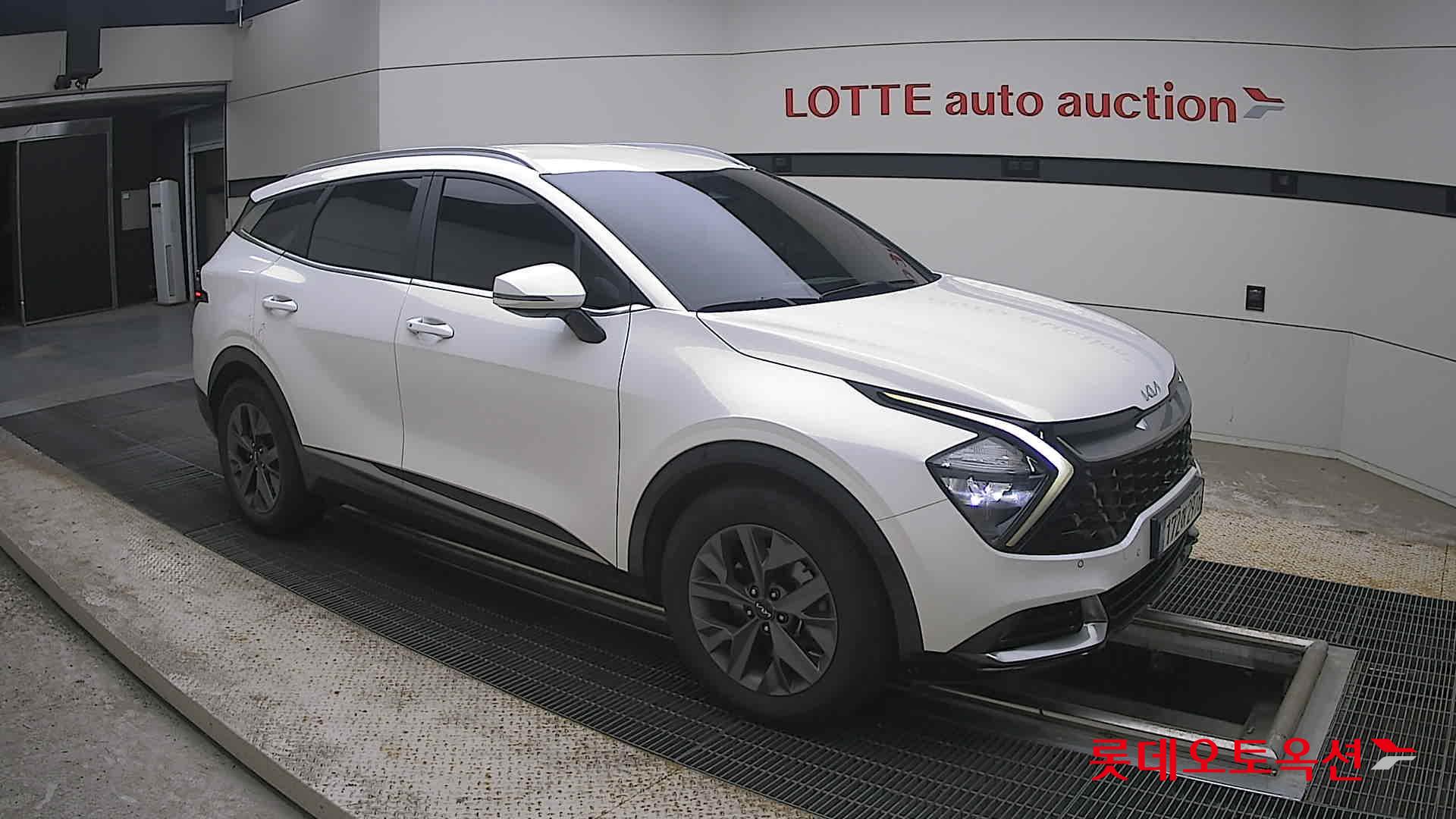 2023 - kia sportage