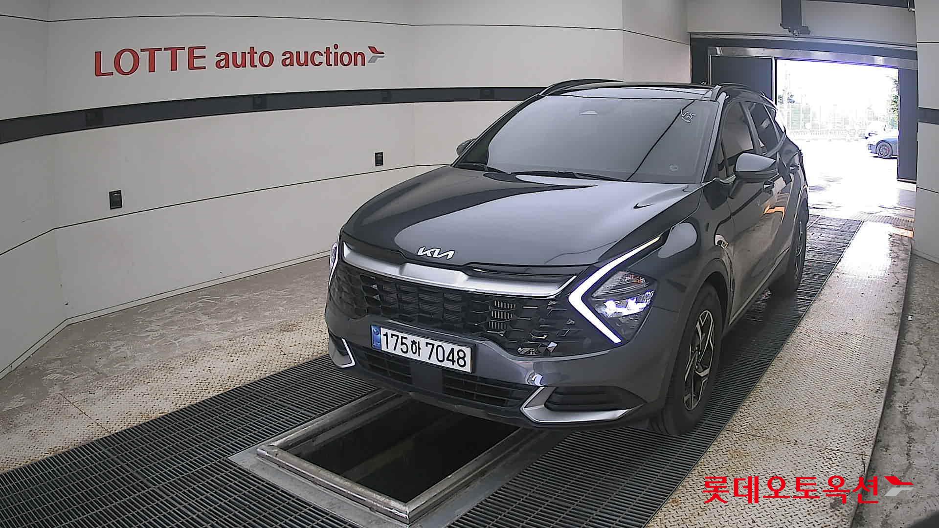 2023 - kia sportage