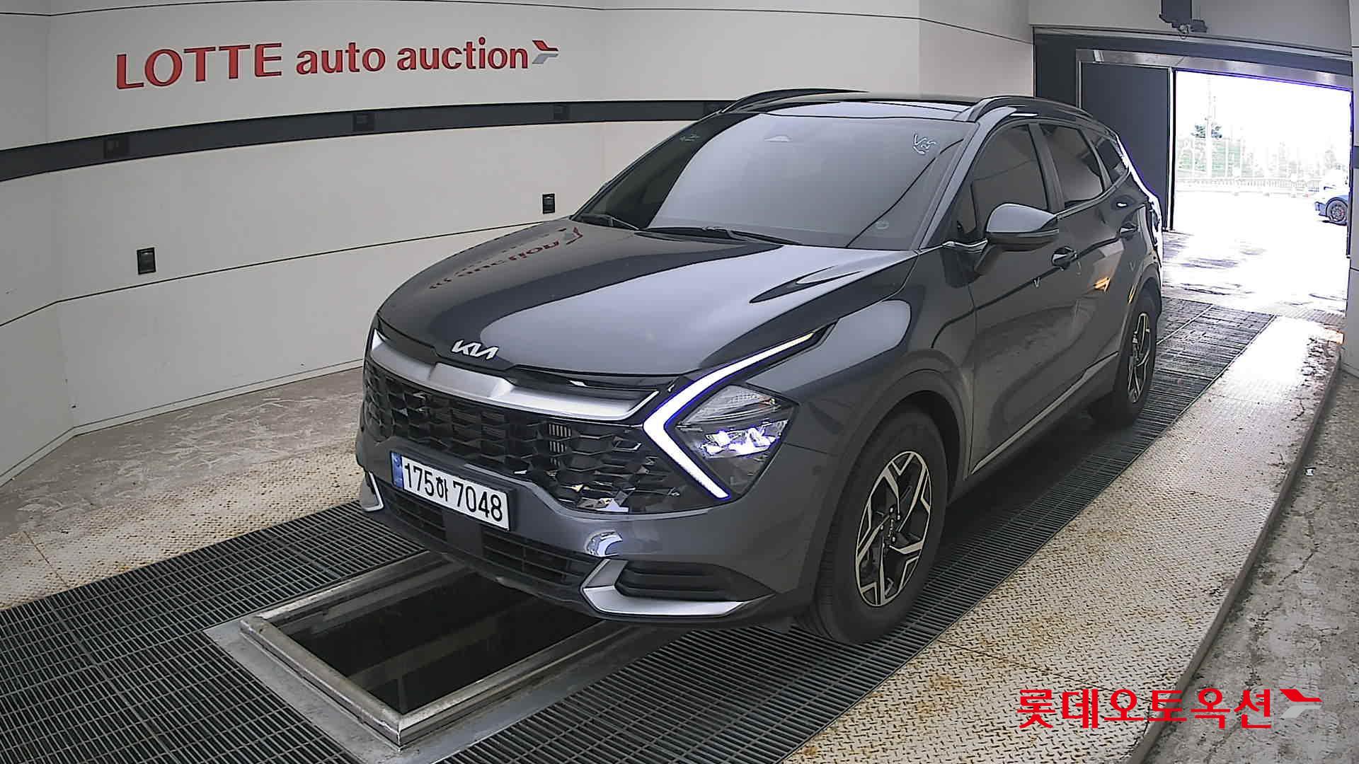 2023 - kia sportage