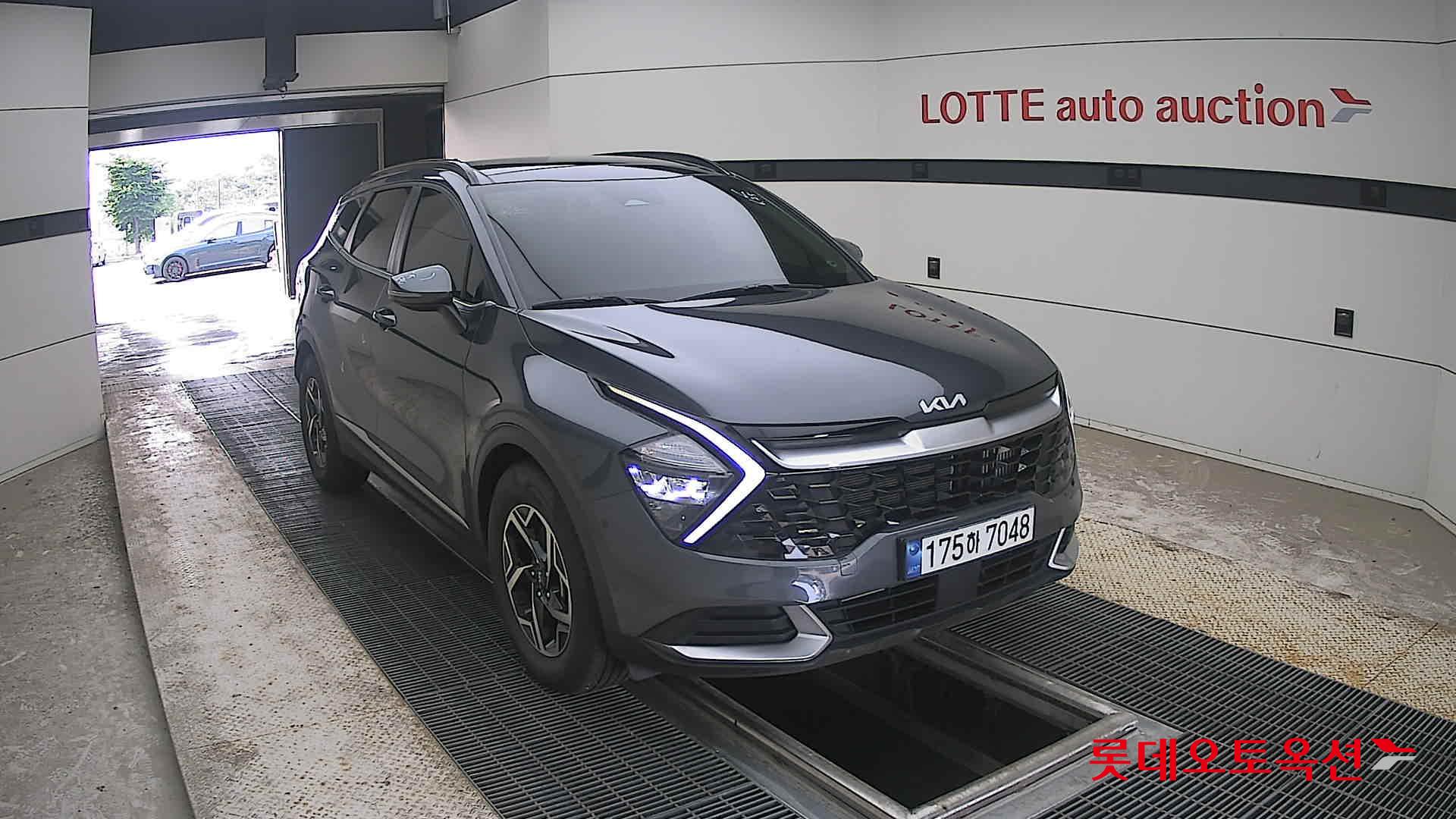 2023 - kia sportage