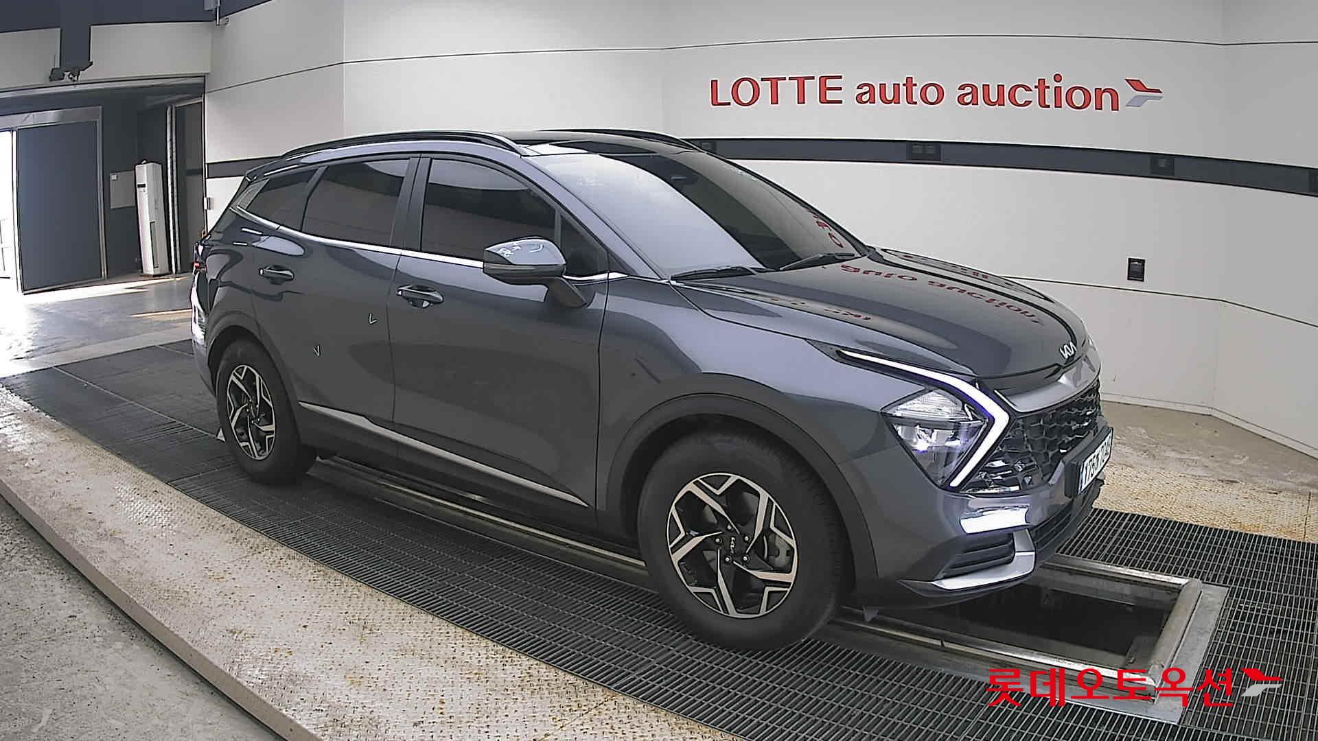 2023 - kia sportage