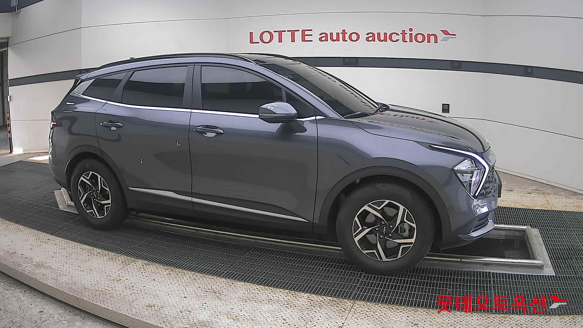 2023 - kia sportage