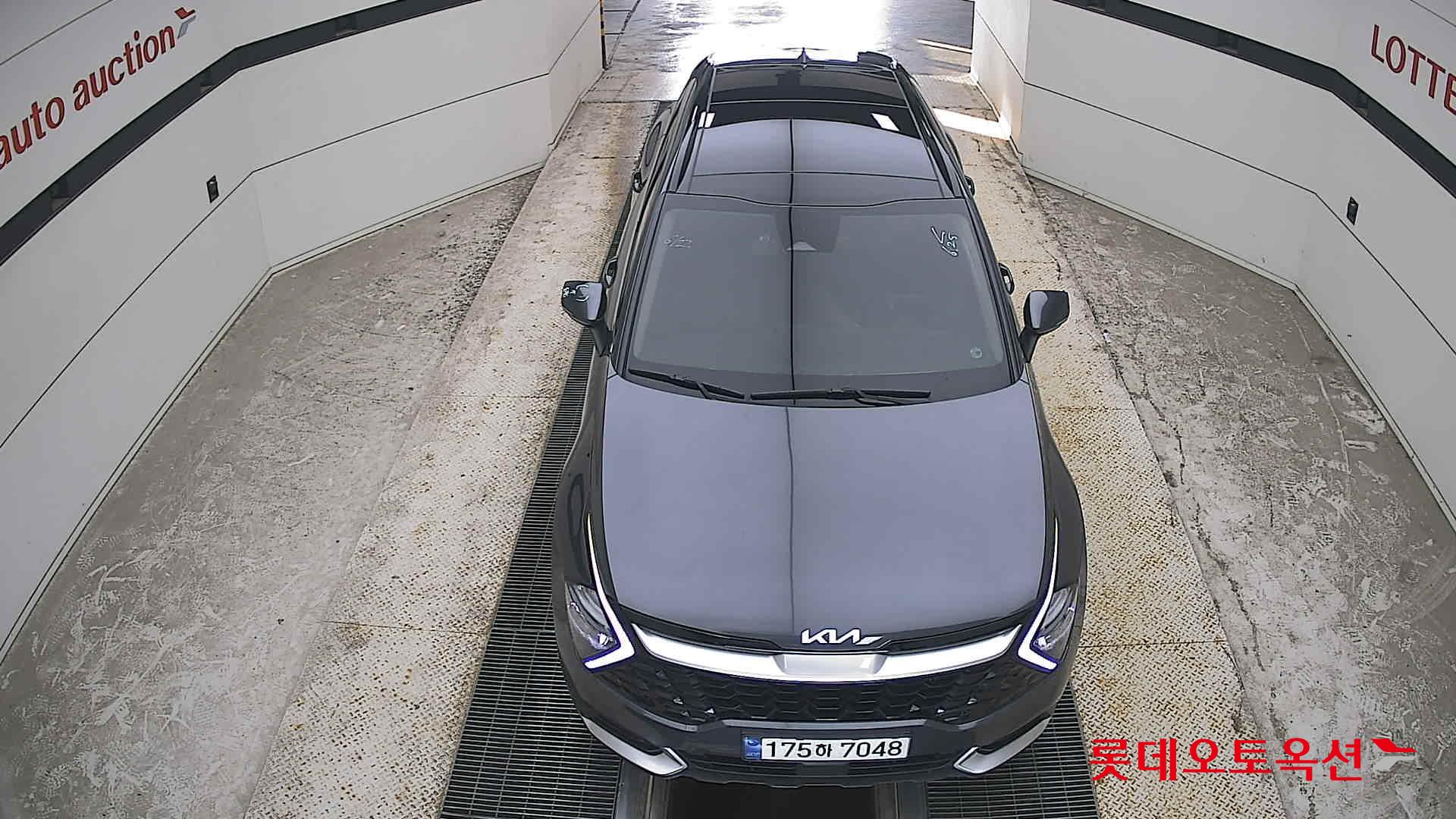 2023 - kia sportage
