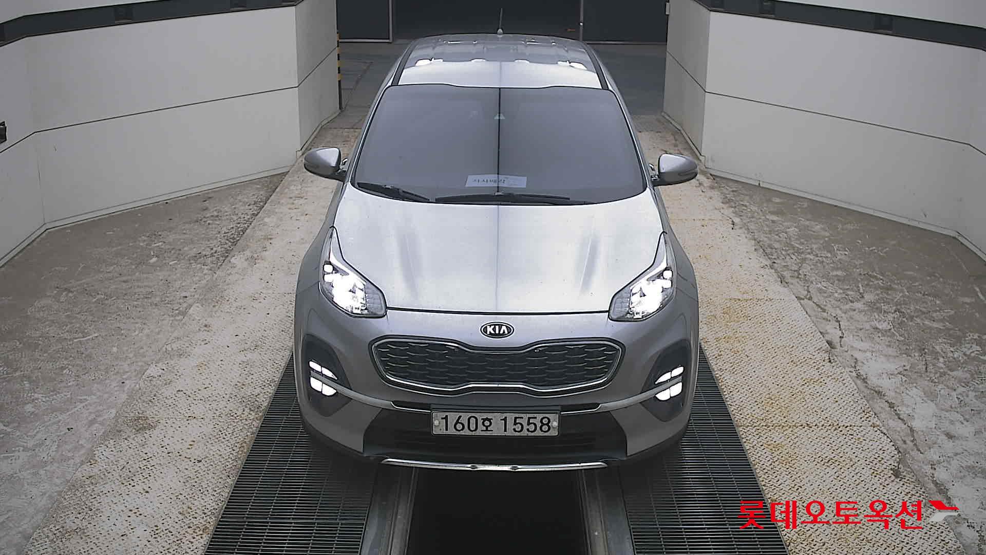 BOLD SPORTAGE (D)