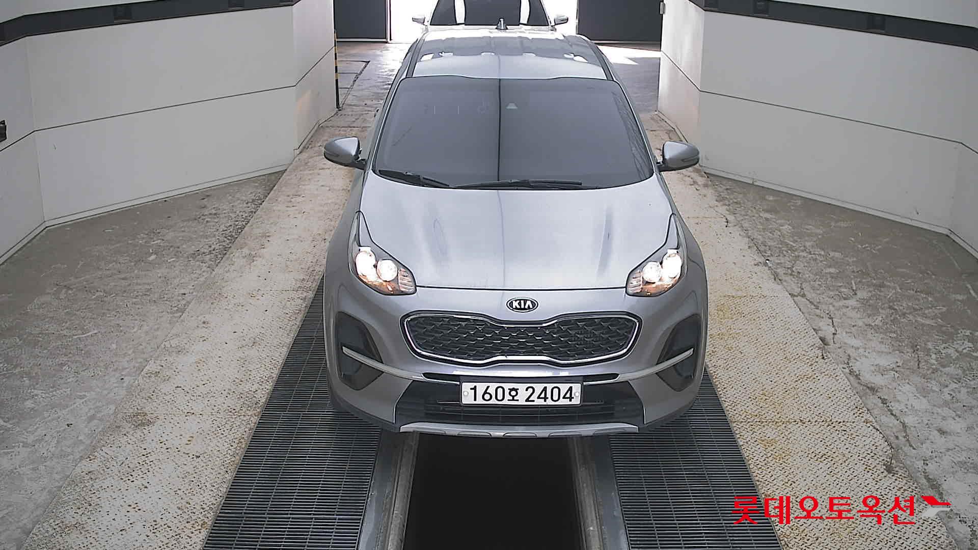 BOLD SPORTAGE (D)