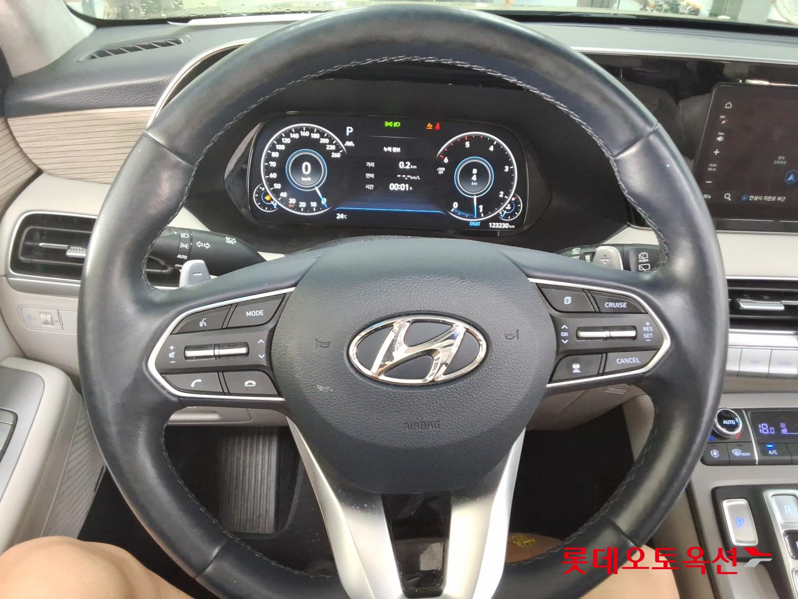 2021 - hyundai palisade