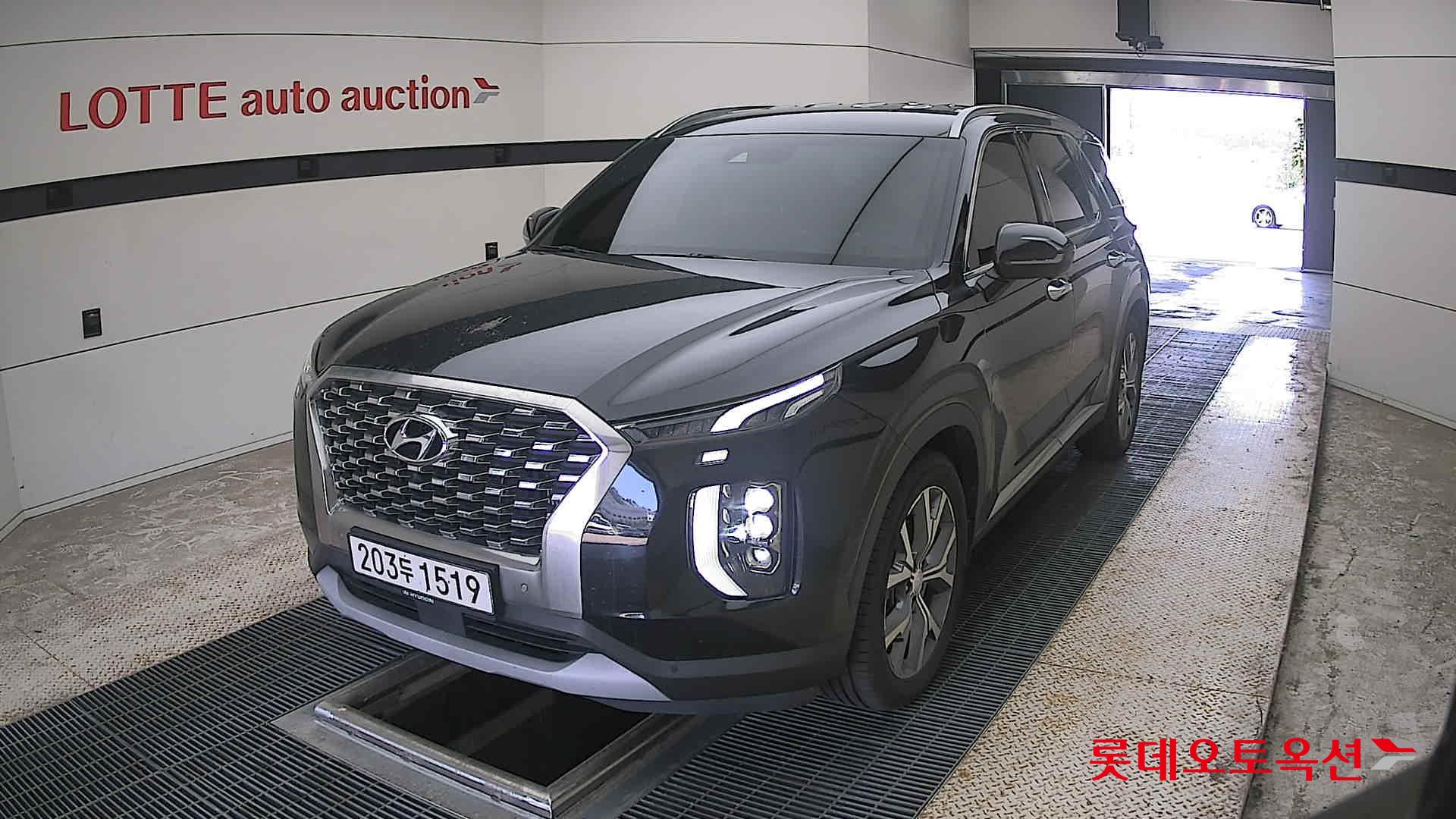 2019 - hyundai palisade