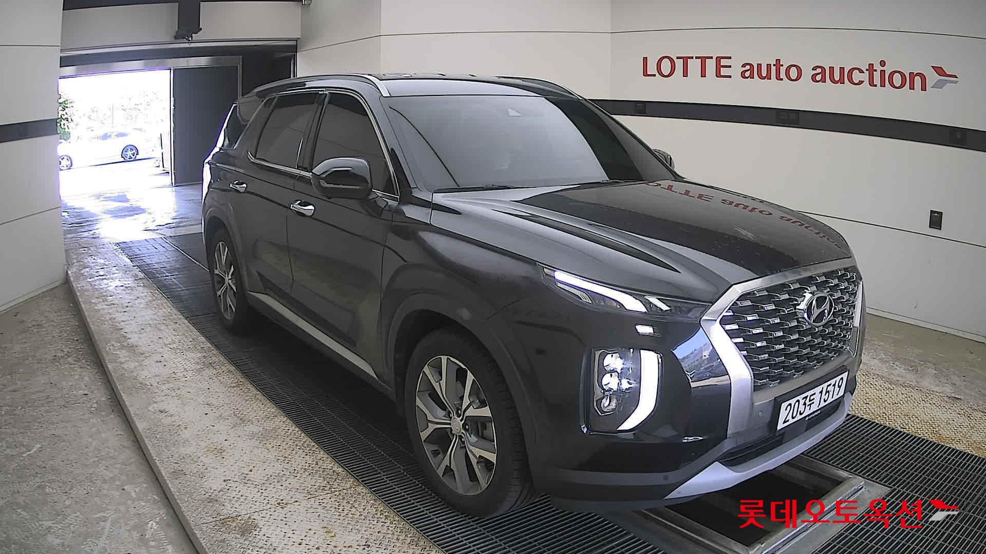 2019 - hyundai palisade