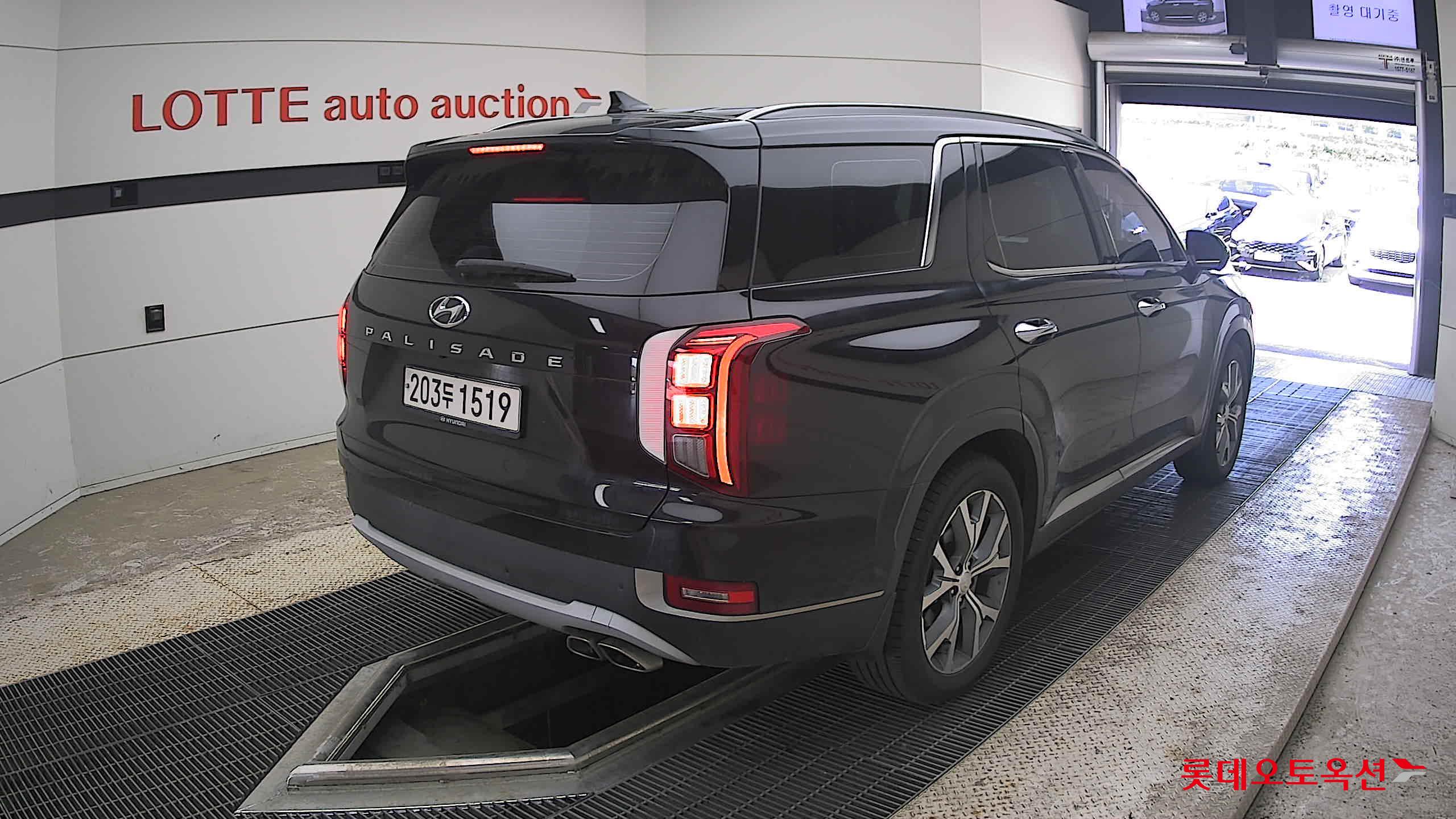 2019 - hyundai palisade