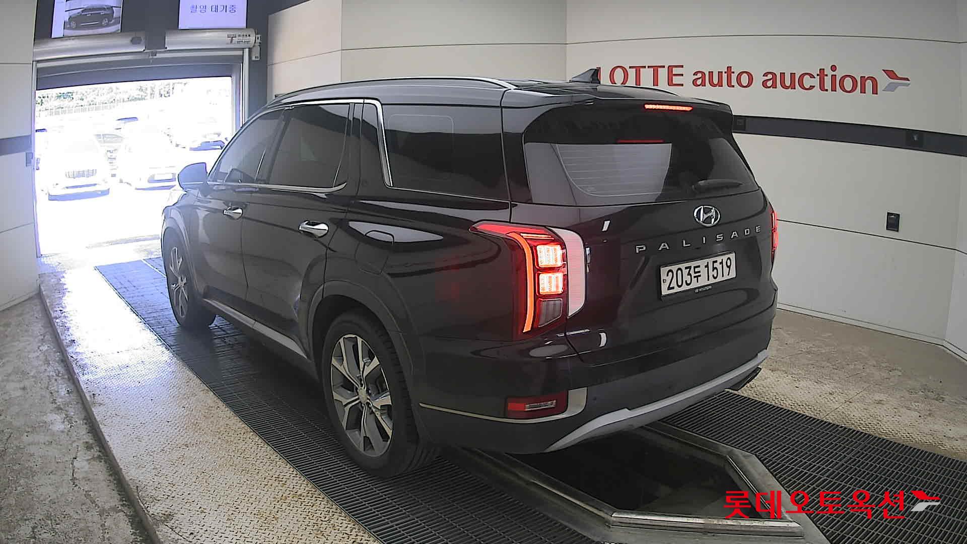 2019 - hyundai palisade