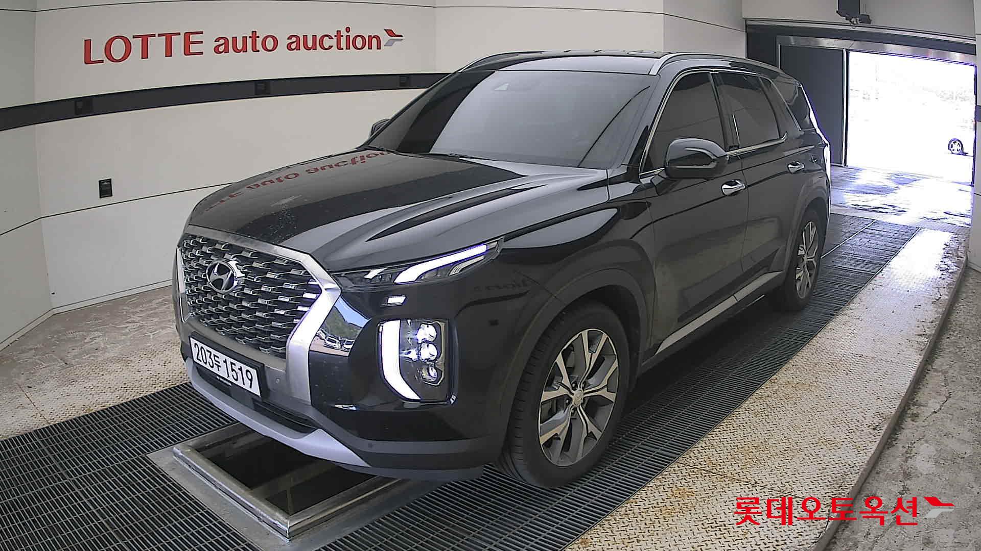 2019 - hyundai palisade