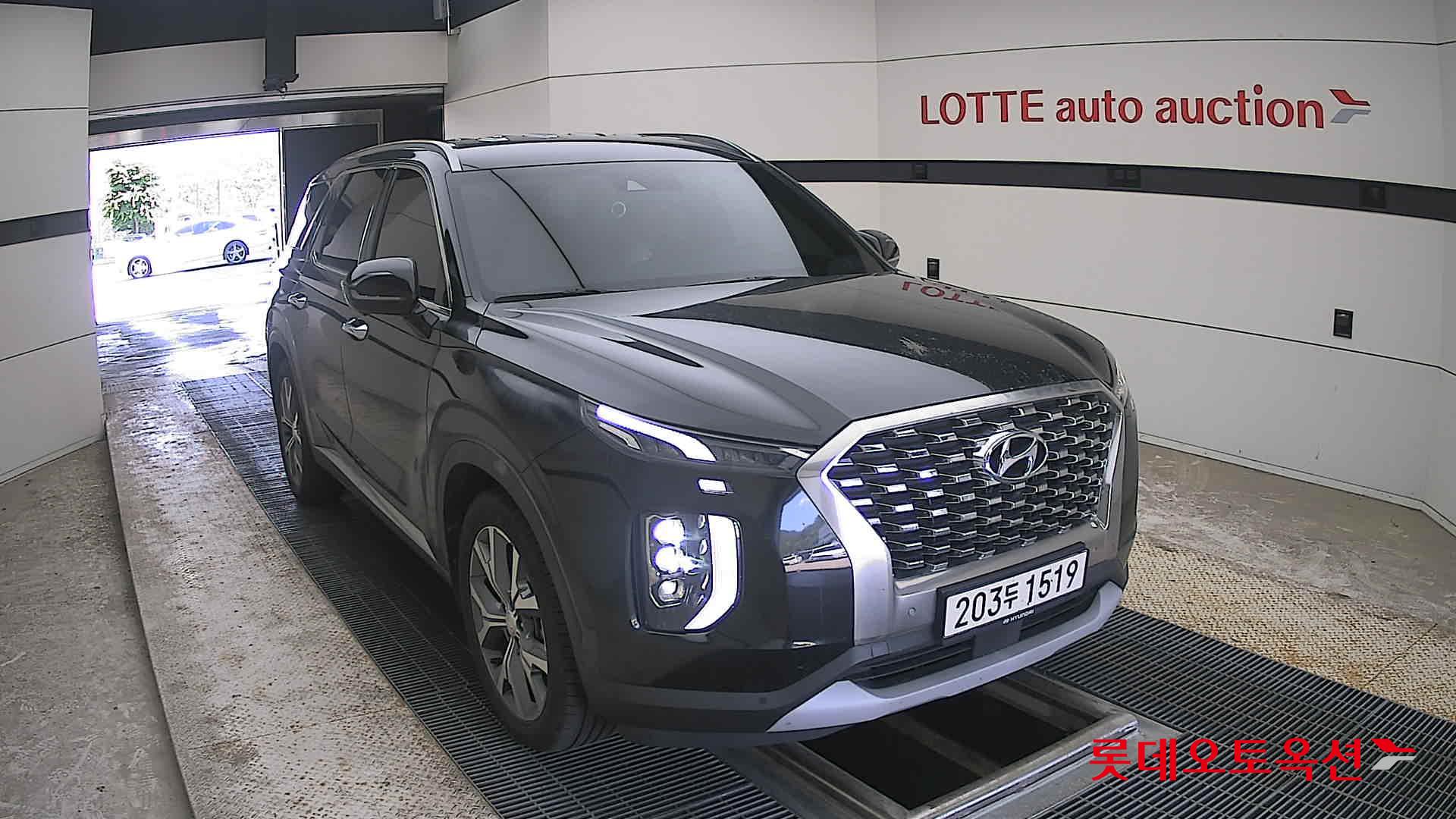 2019 - hyundai palisade