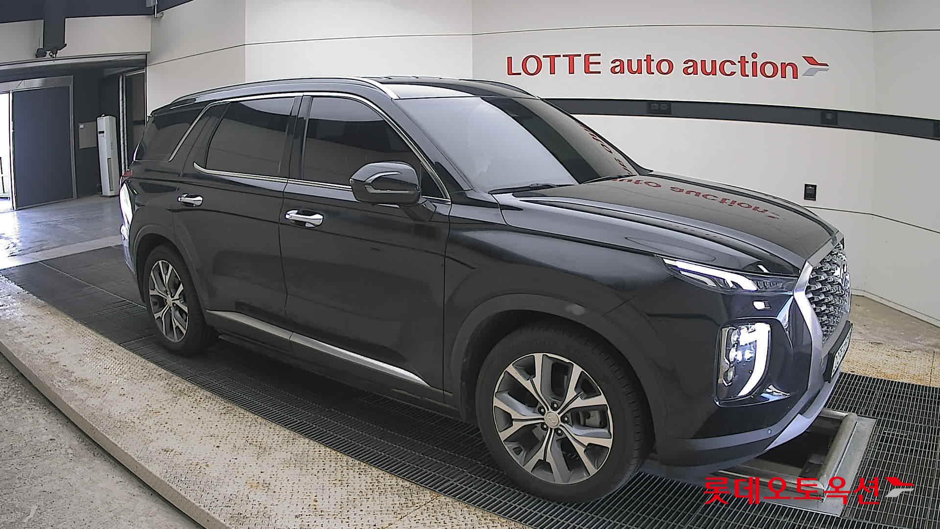 2019 - hyundai palisade