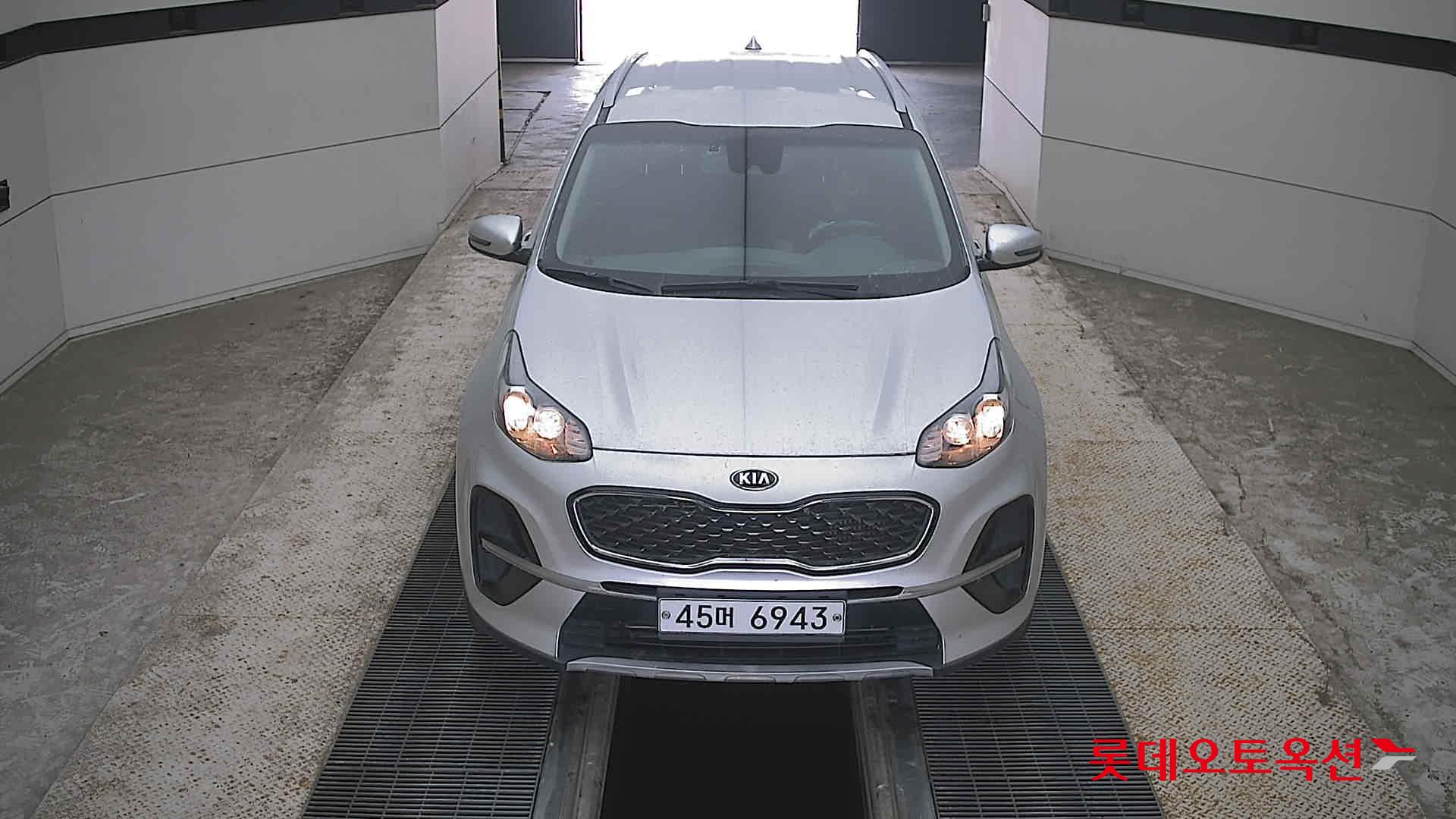 BOLD SPORTAGE (D)