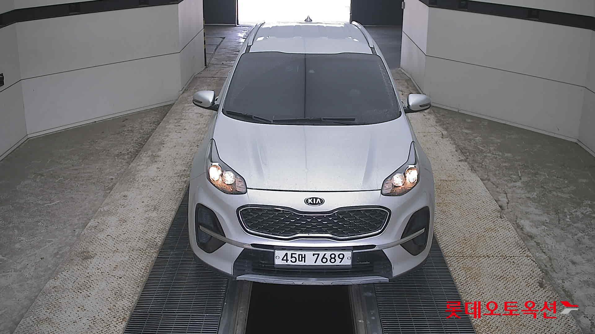 BOLD SPORTAGE (D)