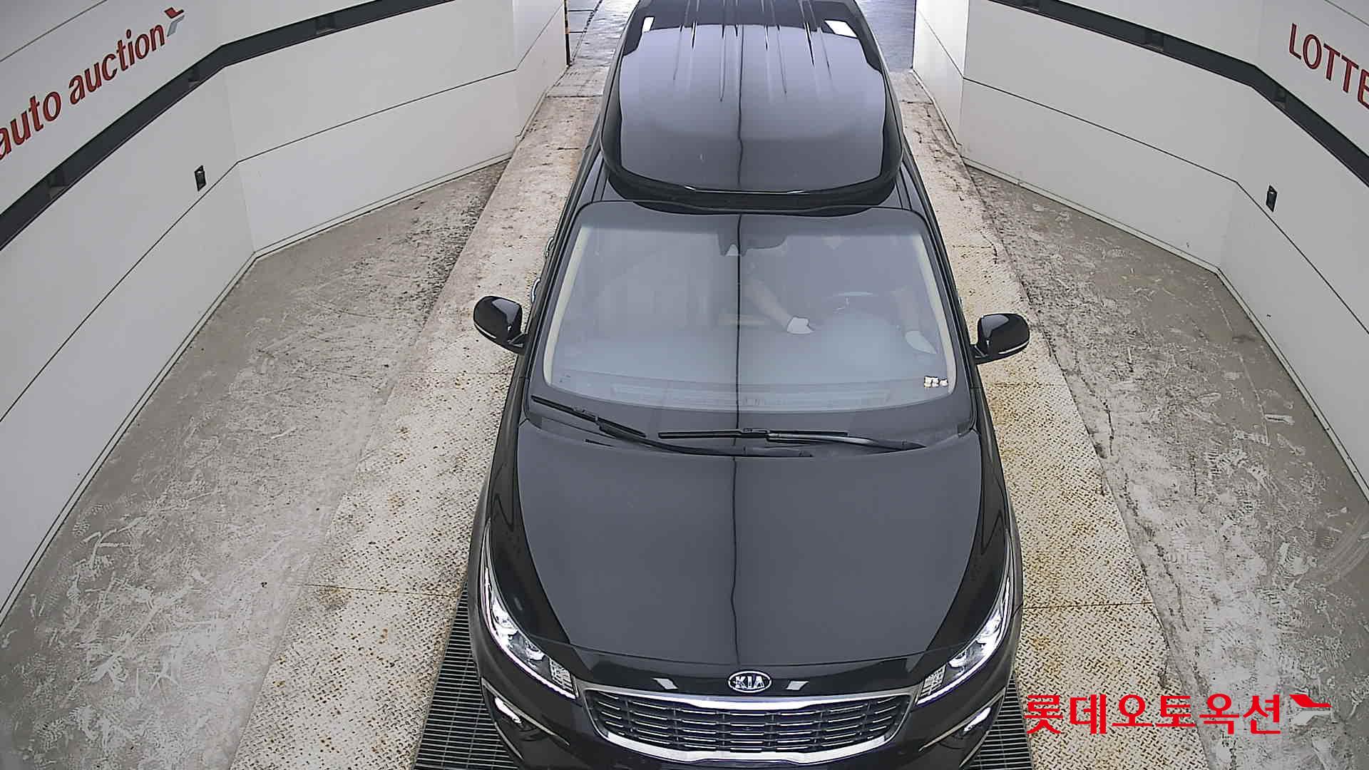 2019 - kia carnival