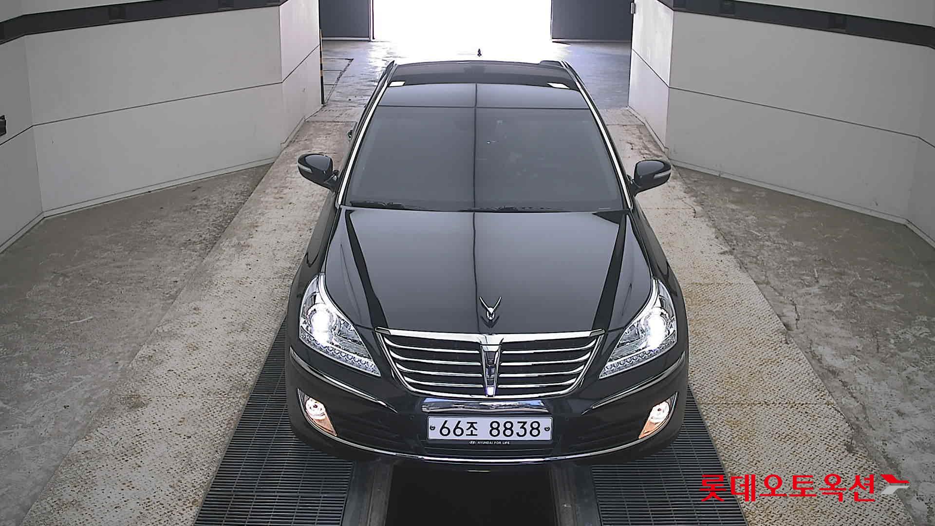 EQUUS (G) VS380 프라임