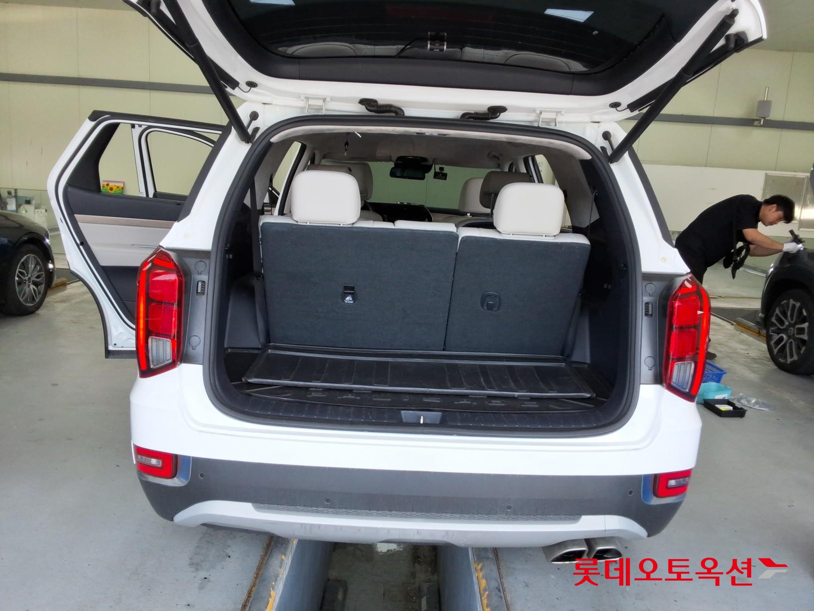 2019 - hyundai palisade