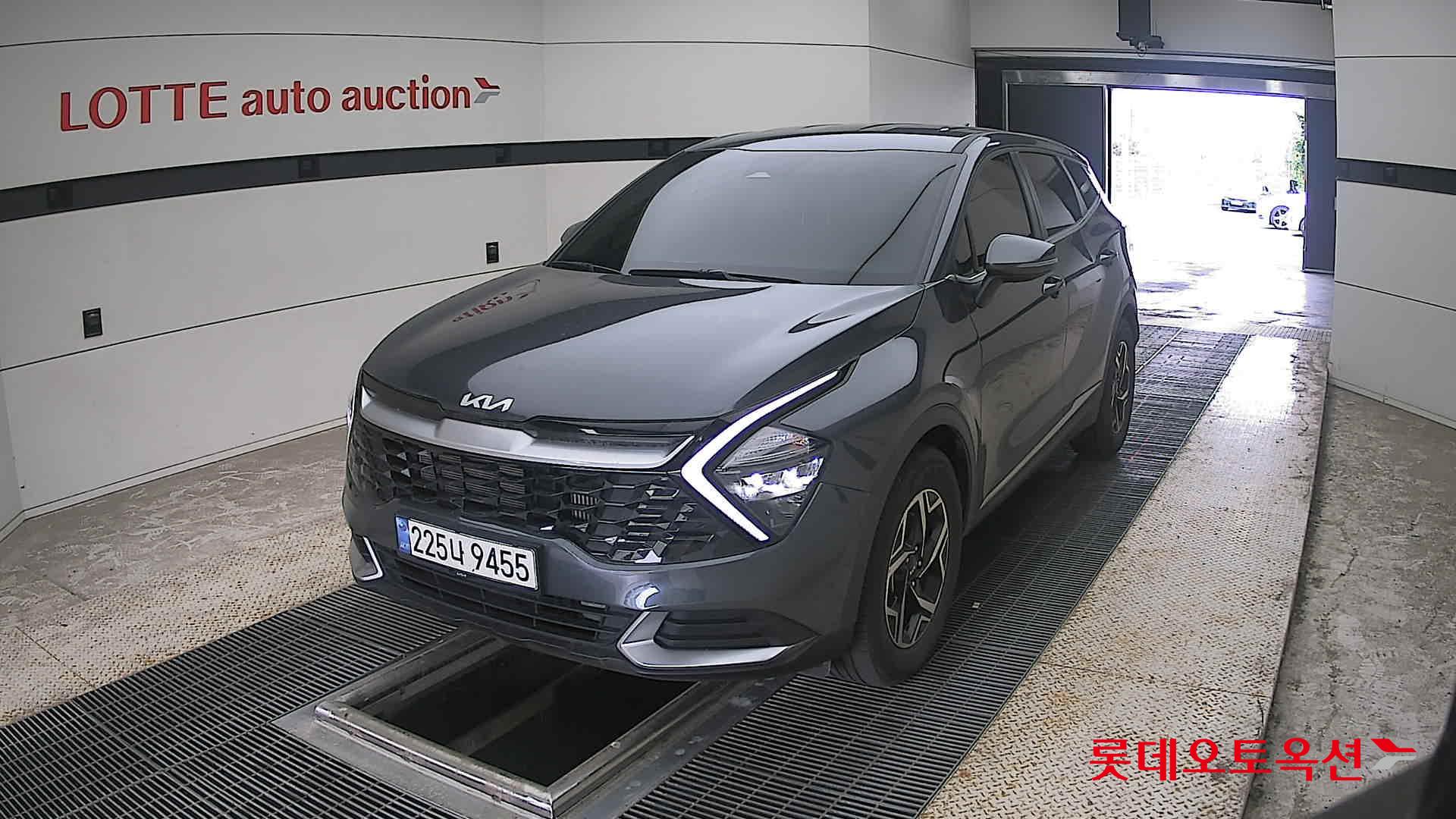 2024 - kia sportage