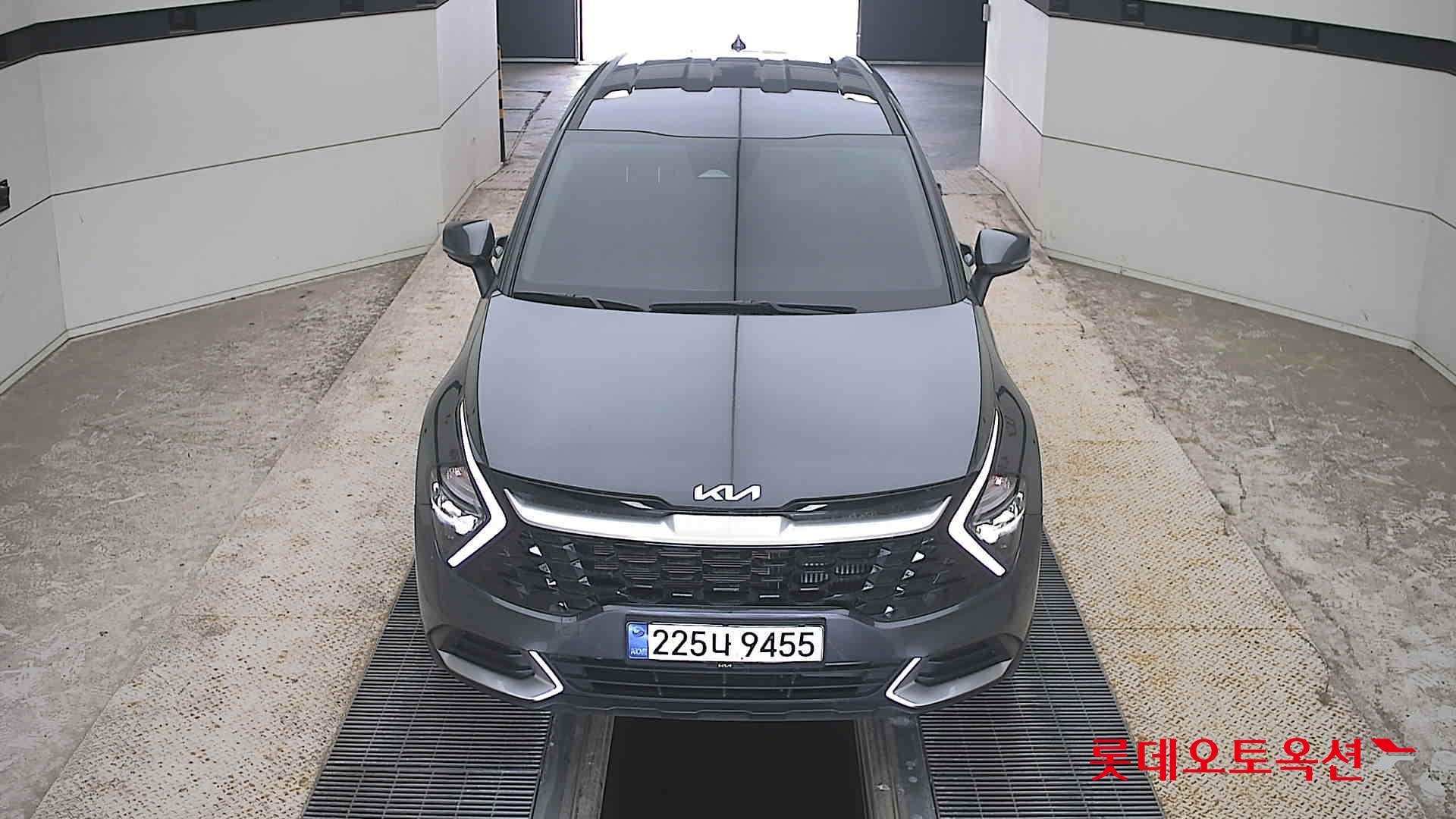 SPORTAGE NQ5 (D)