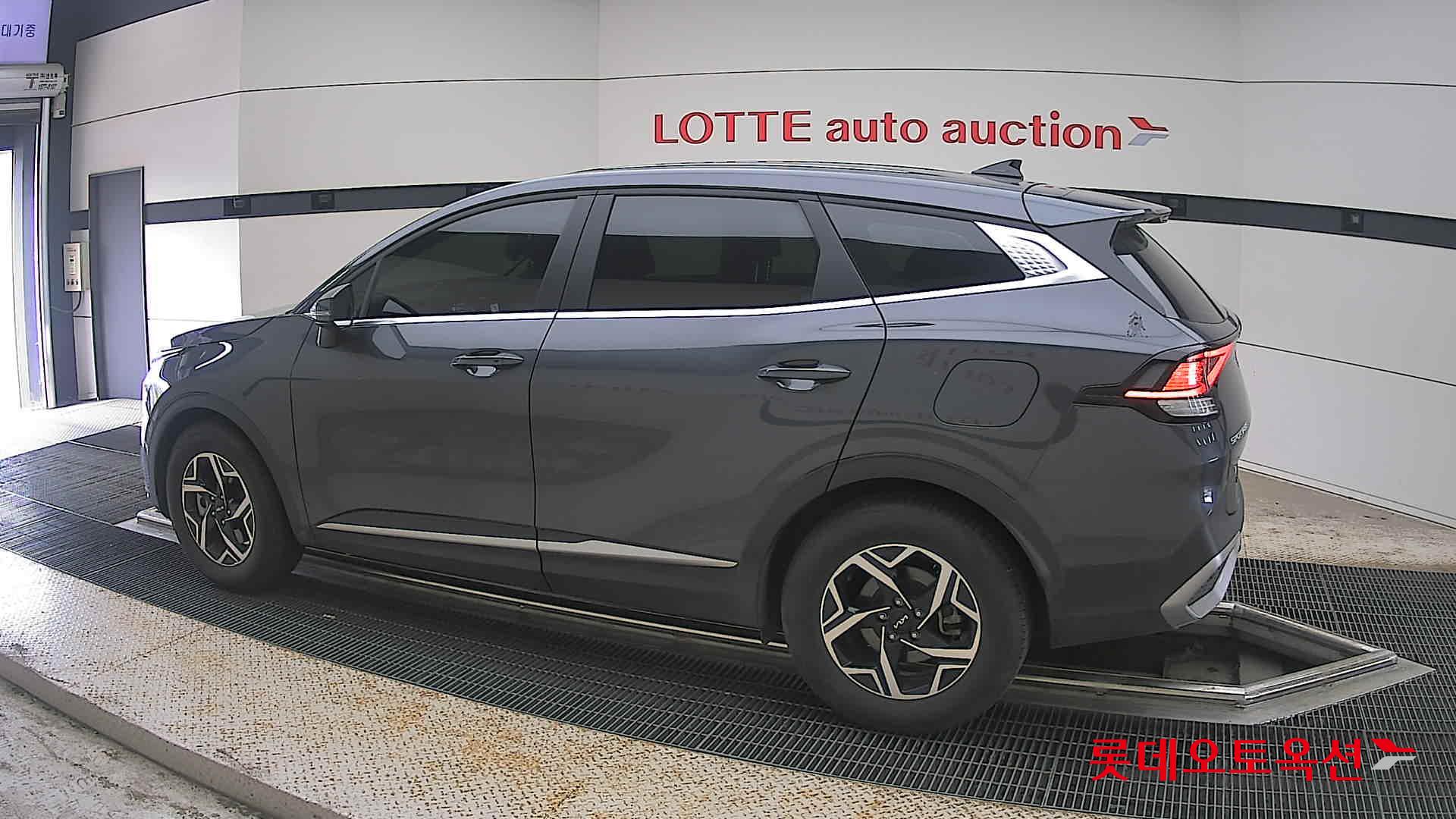 2024 - kia sportage