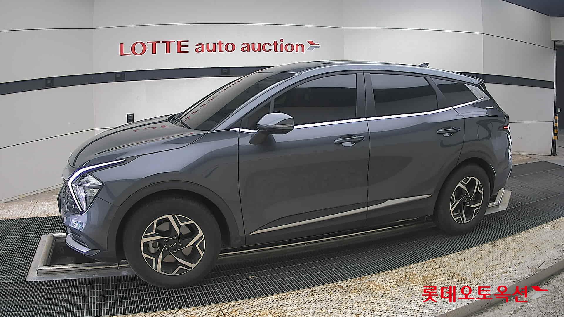 2024 - kia sportage