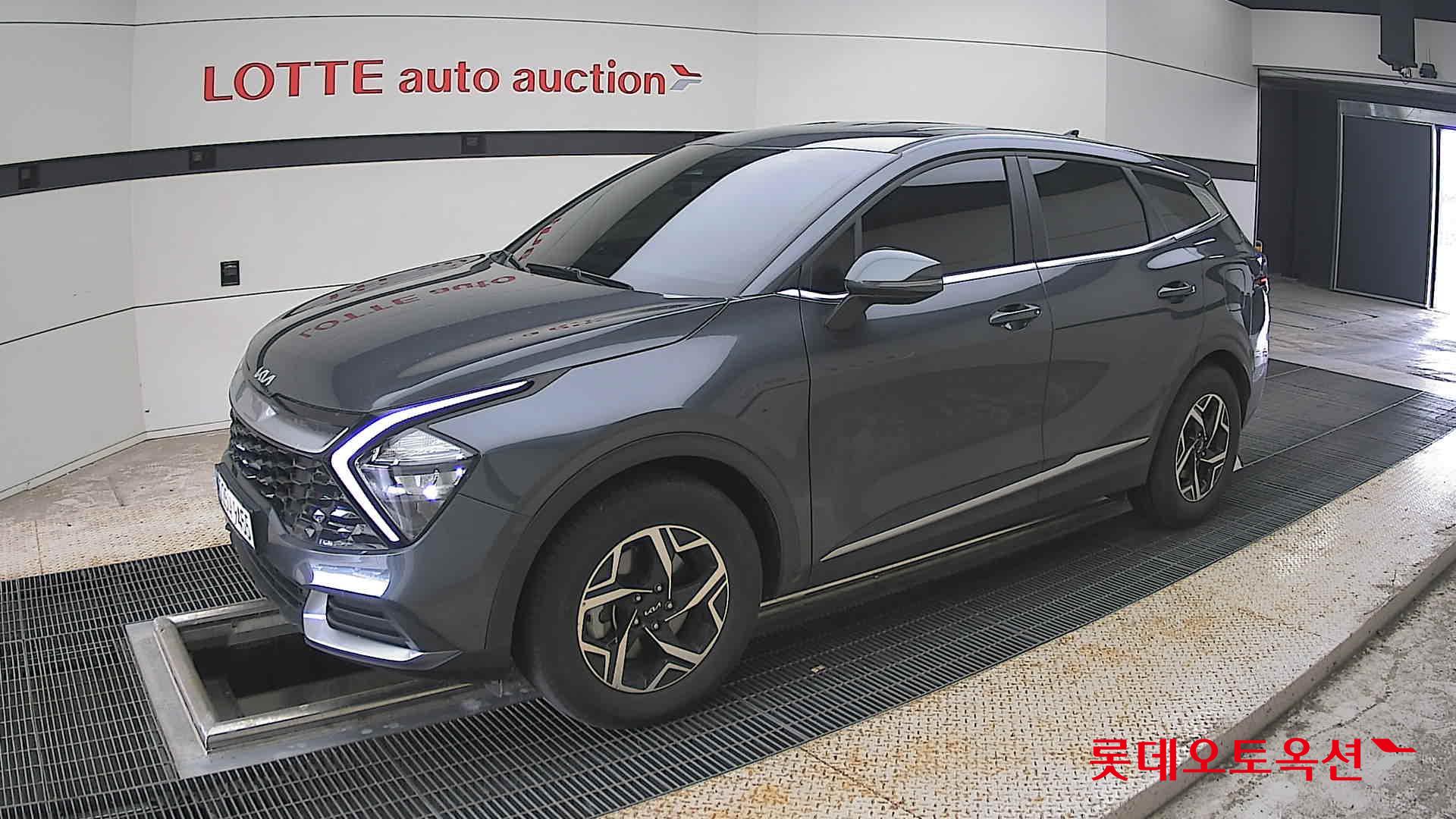 2024 - kia sportage