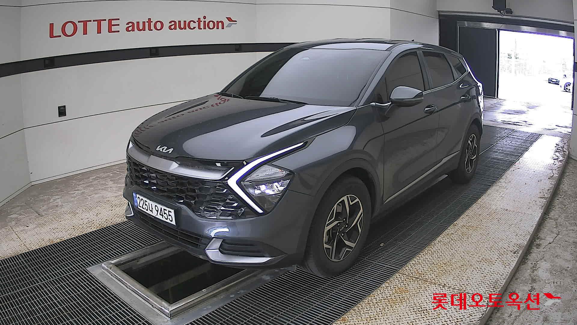 2024 - kia sportage