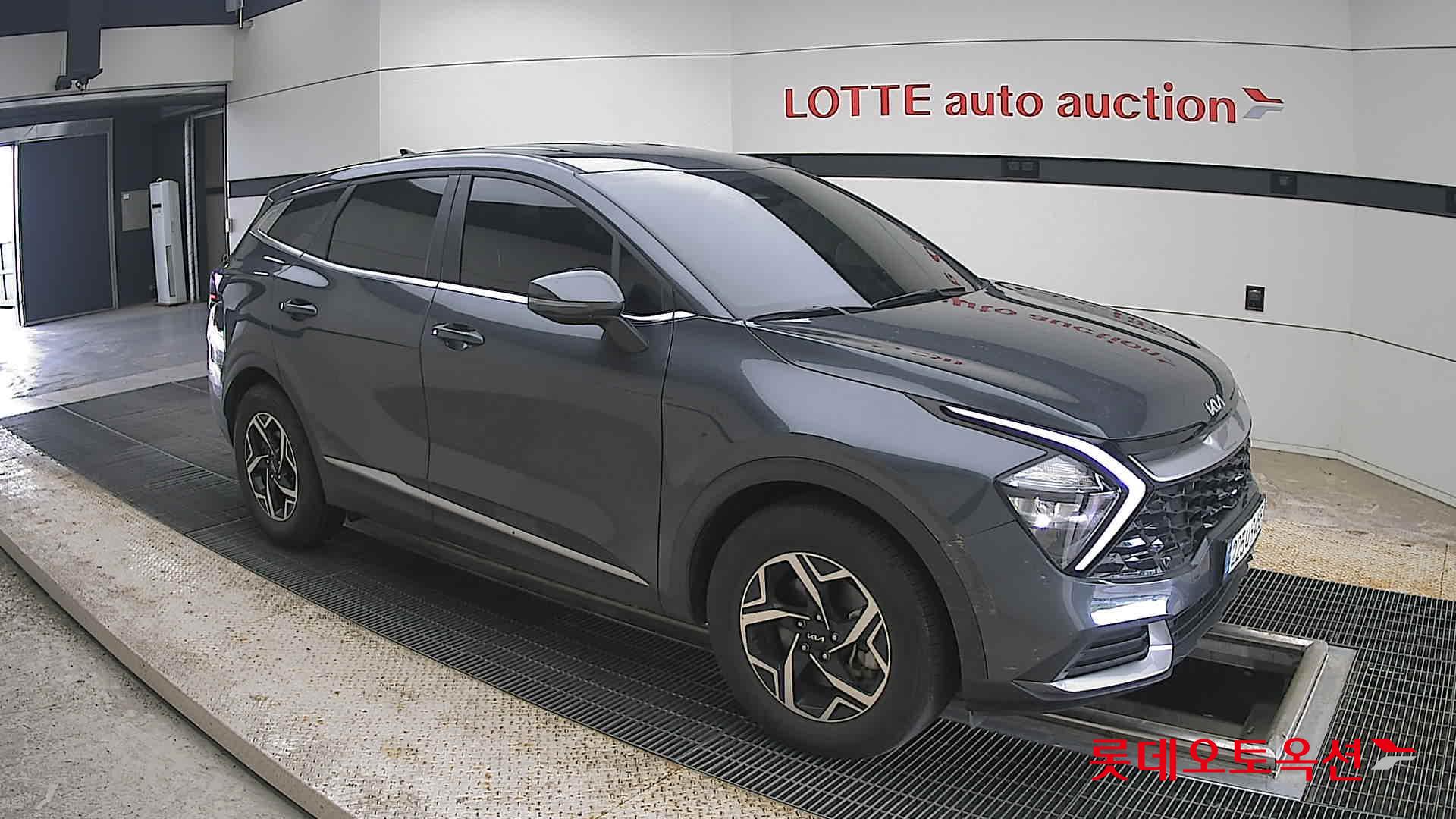 2024 - kia sportage