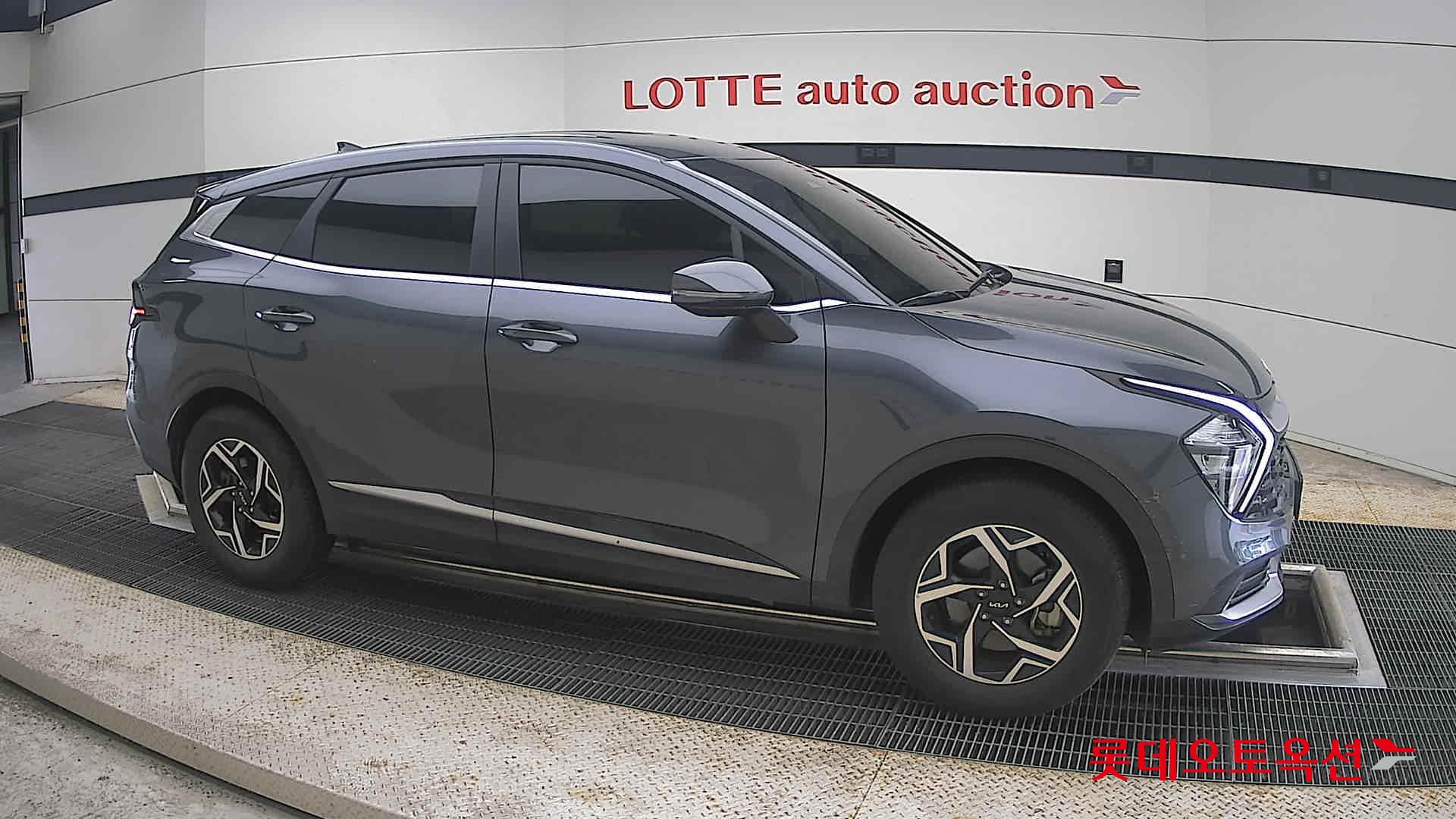 2024 - kia sportage