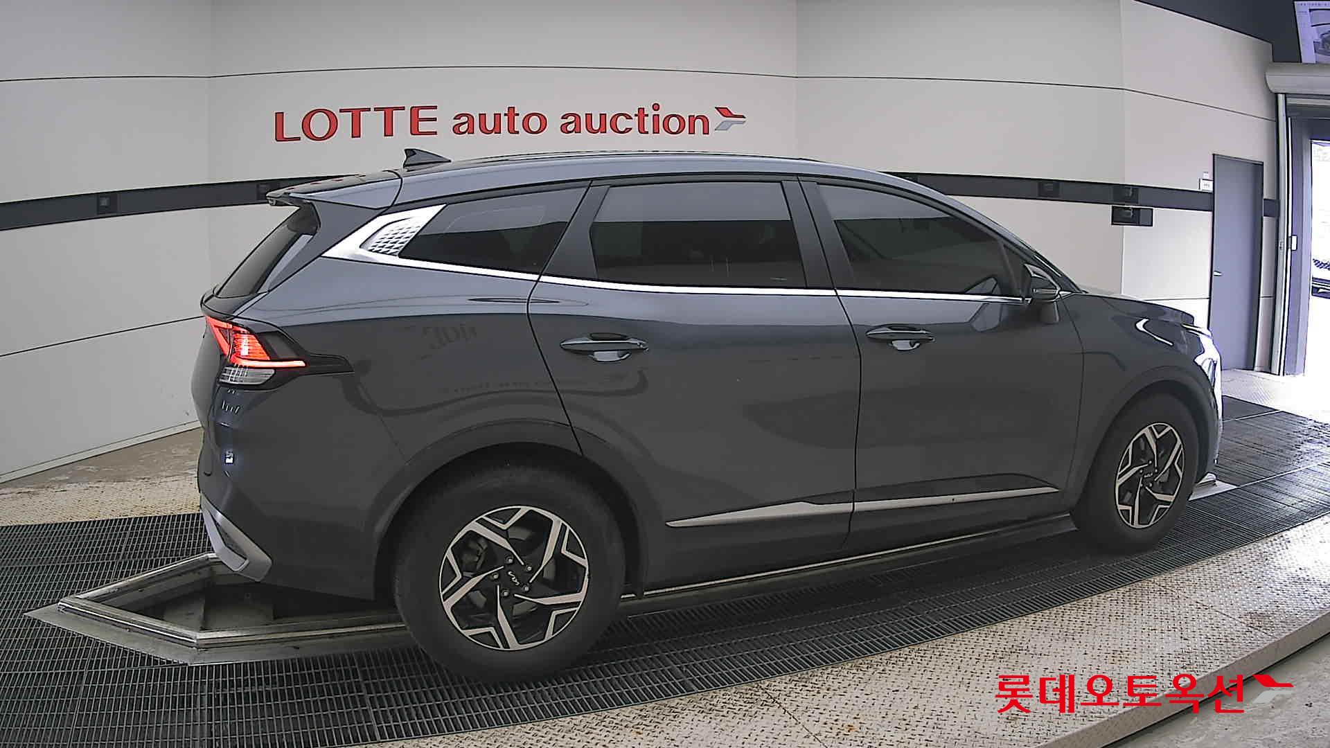 2024 - kia sportage
