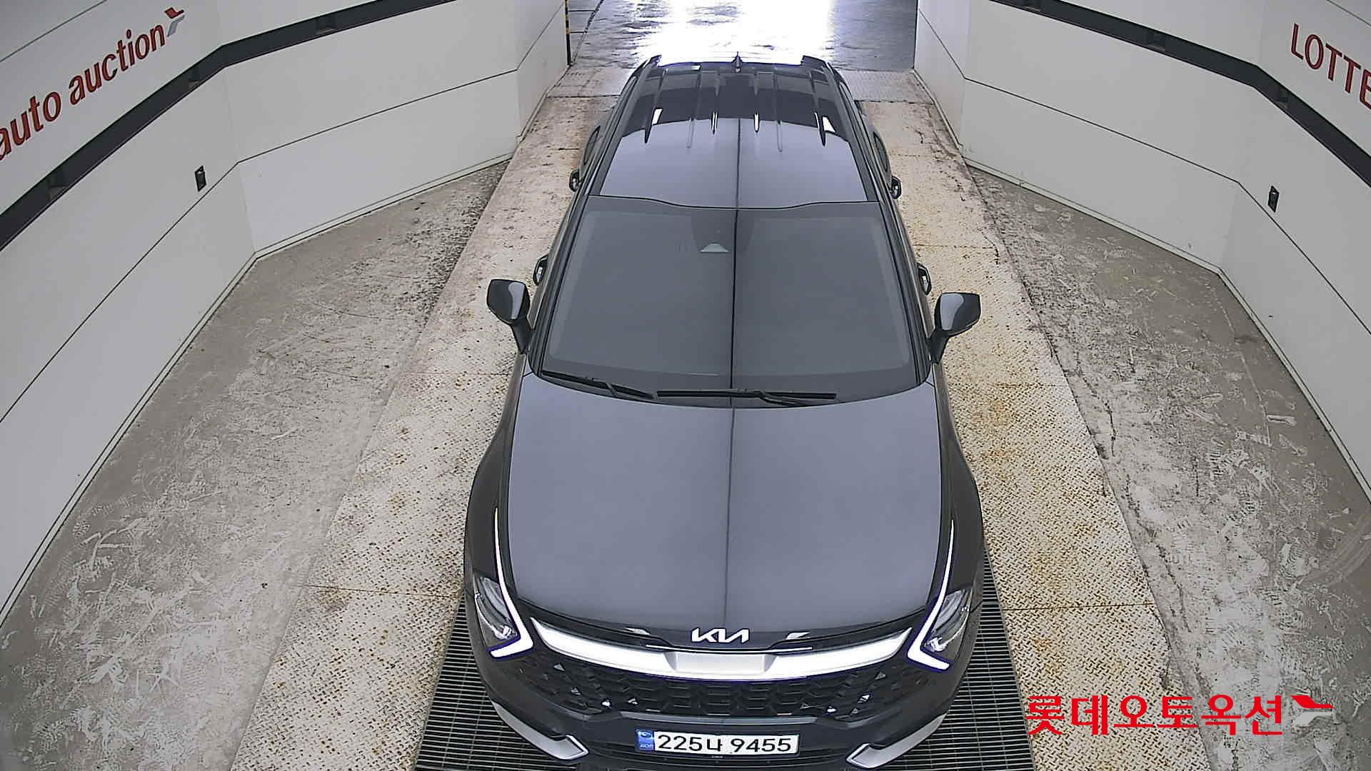2024 - kia sportage