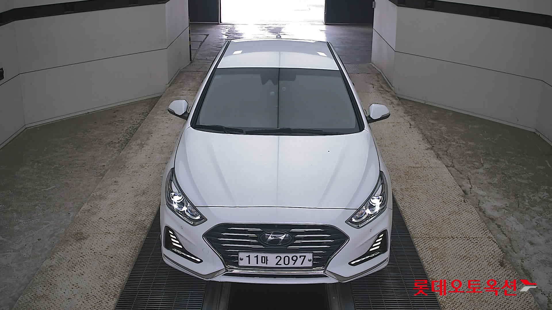LF SONATA NEWRISE (H)