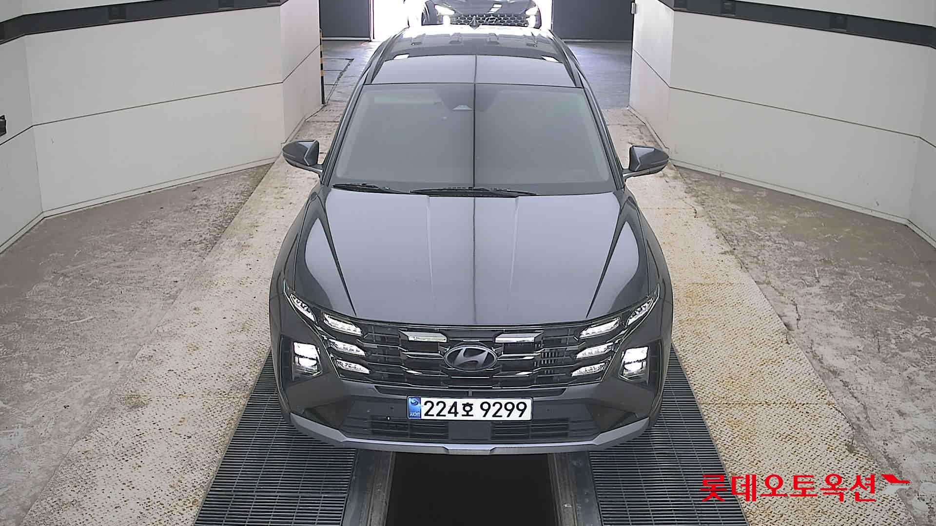 TUCSON NX (H)