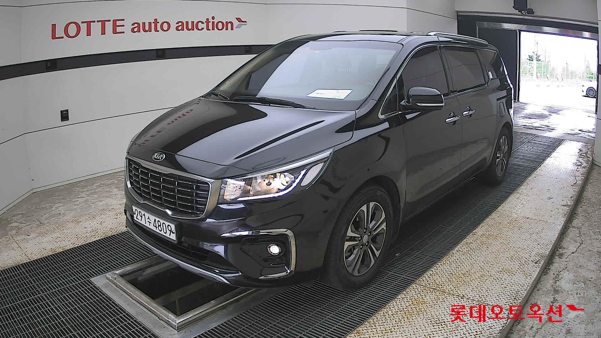 2019 - kia carnival