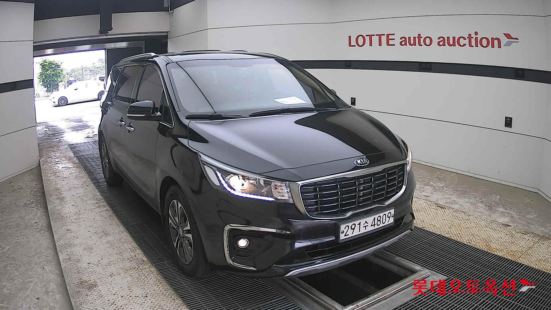 2019 - kia carnival