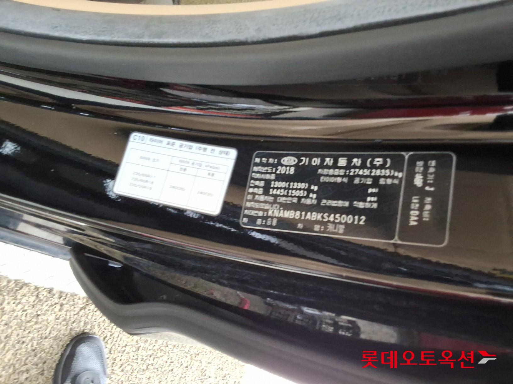 2019 - kia carnival