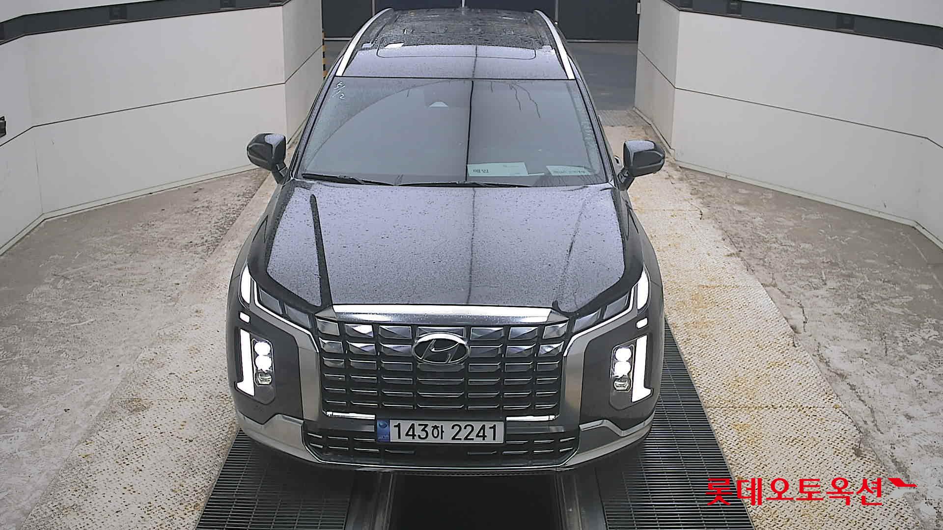 PALISADE (G)