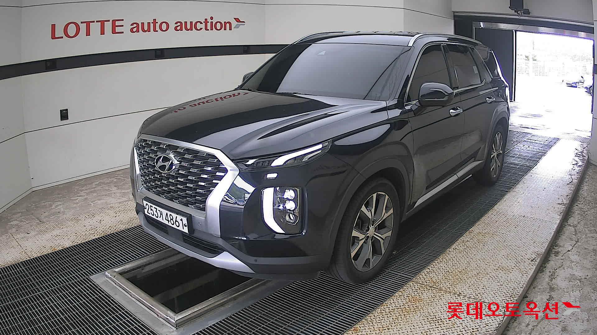 2020 - hyundai palisade