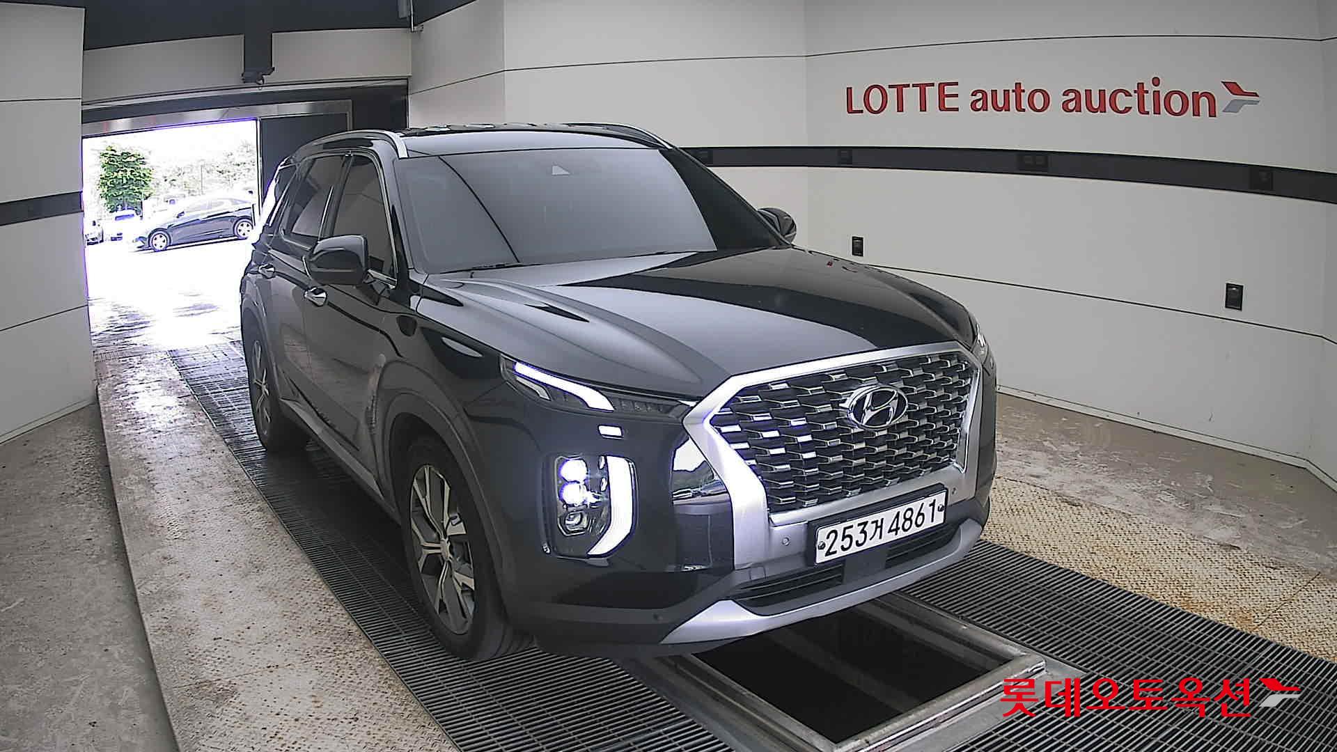 2020 - hyundai palisade