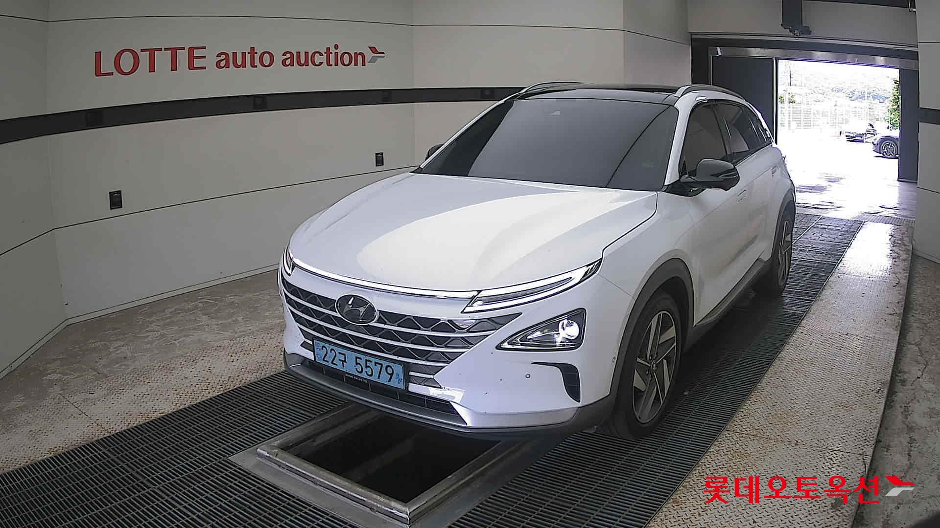 2022 - hyundai nexo
