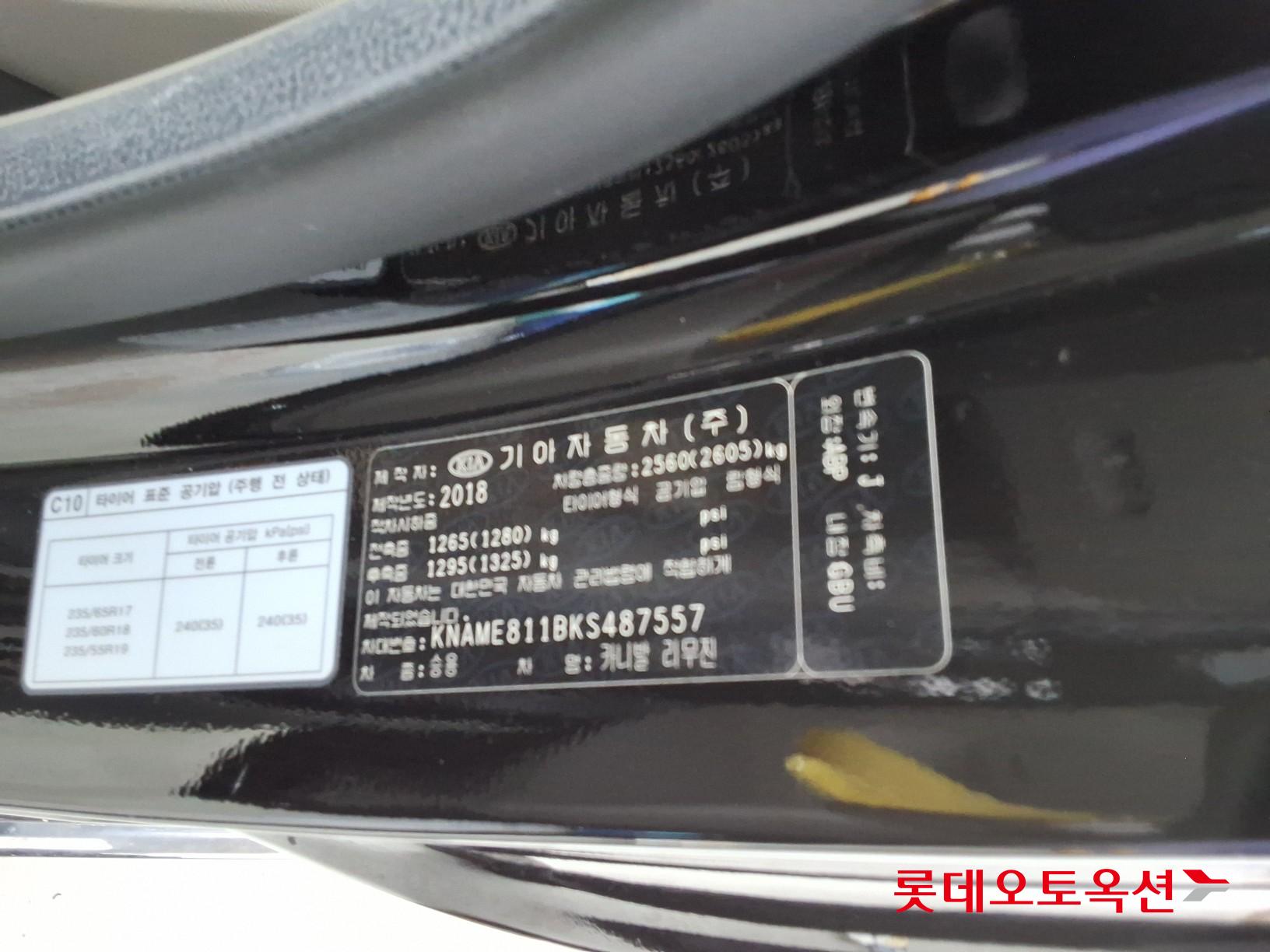 2019 - kia carnival