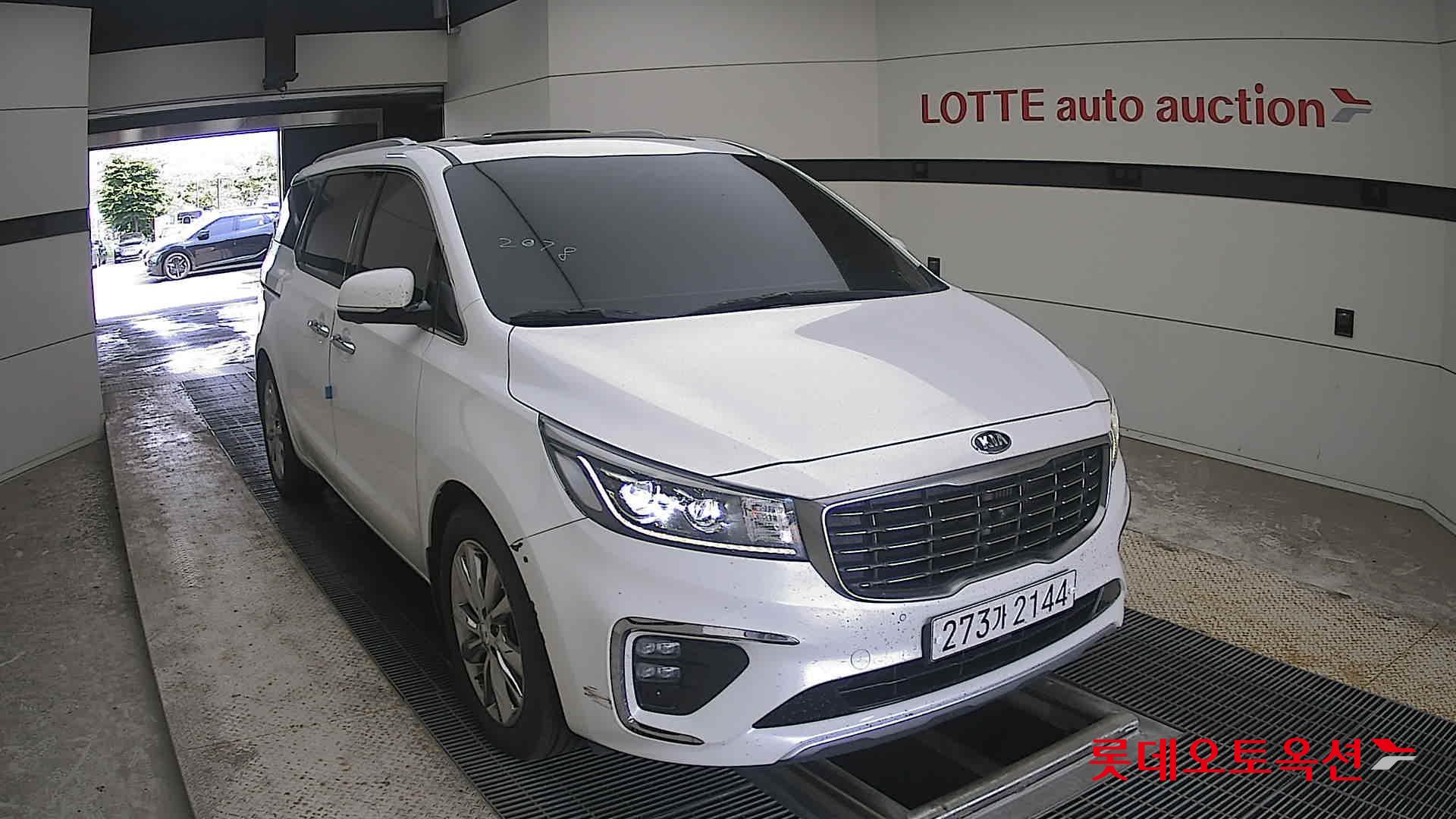 2019 - kia carnival
