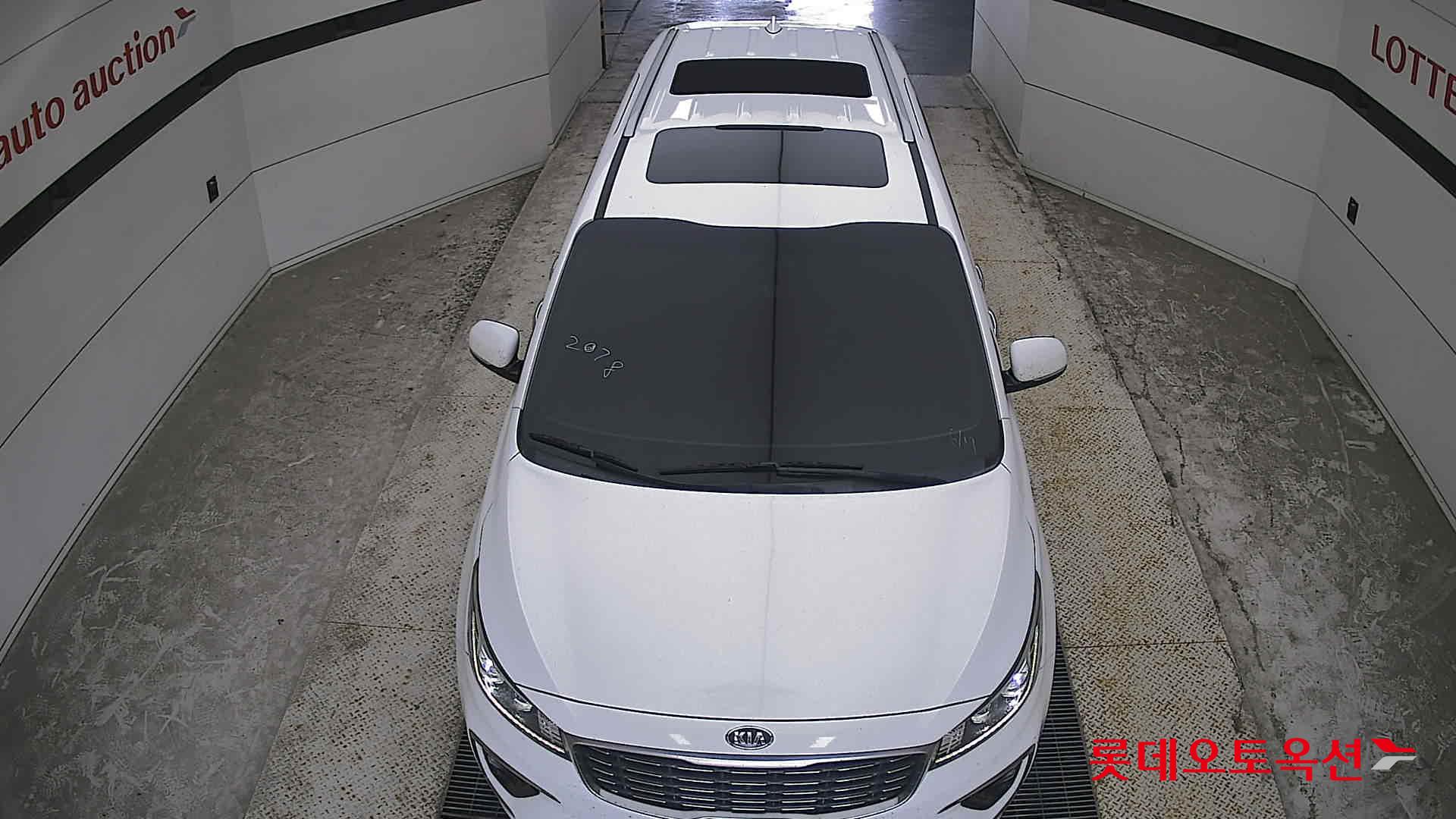 2019 - kia carnival