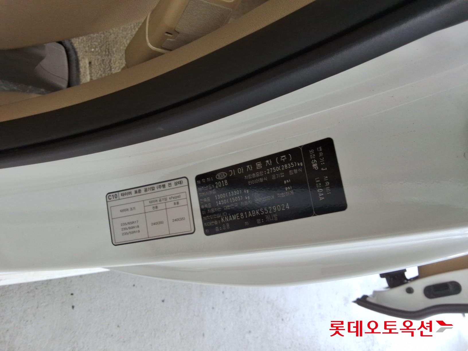2019 - kia carnival