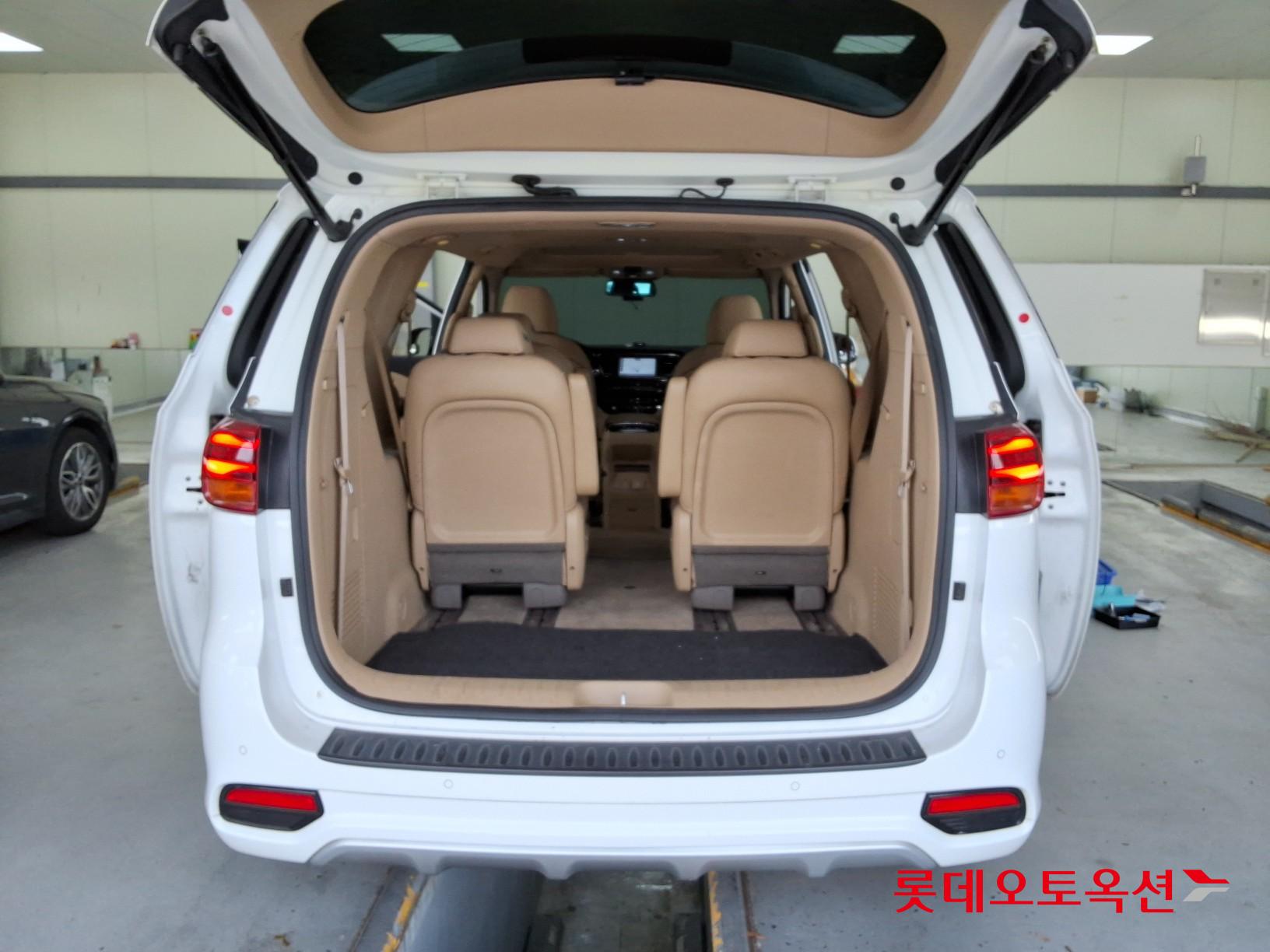 2019 - kia carnival