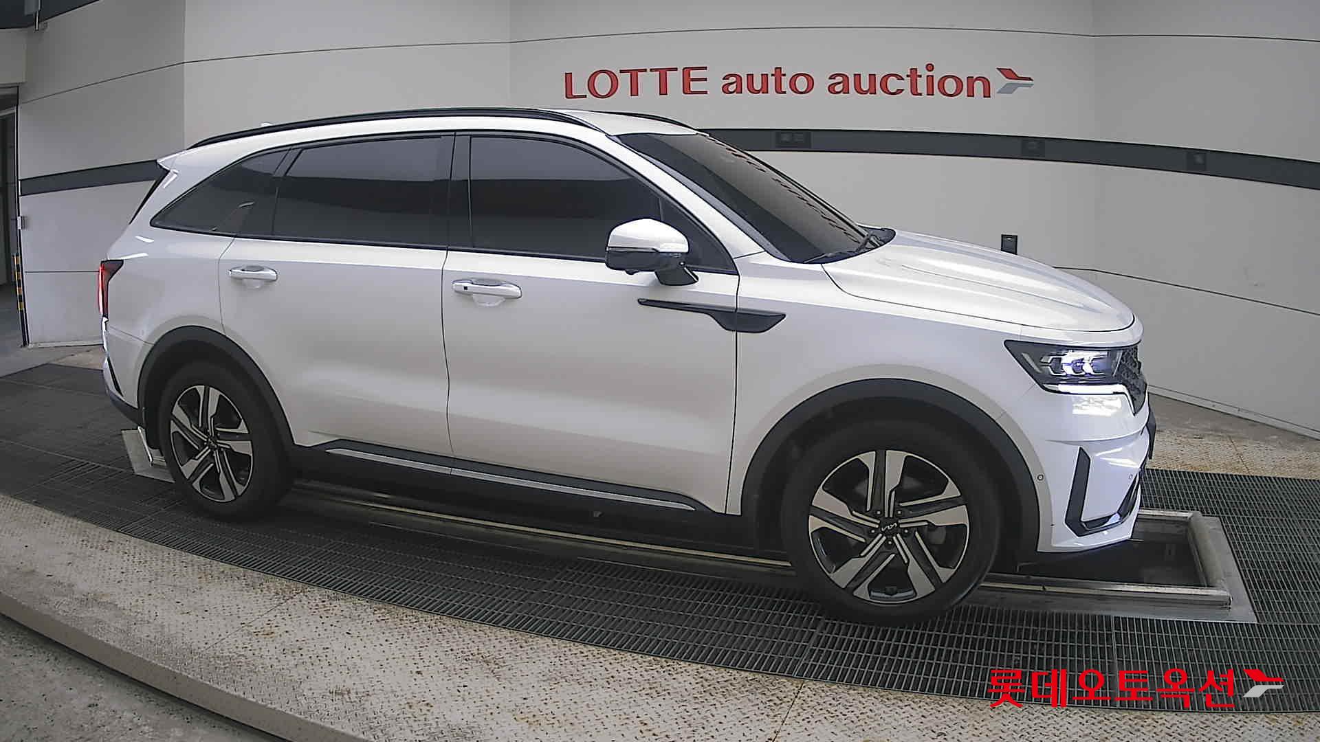 2023 - kia sorento