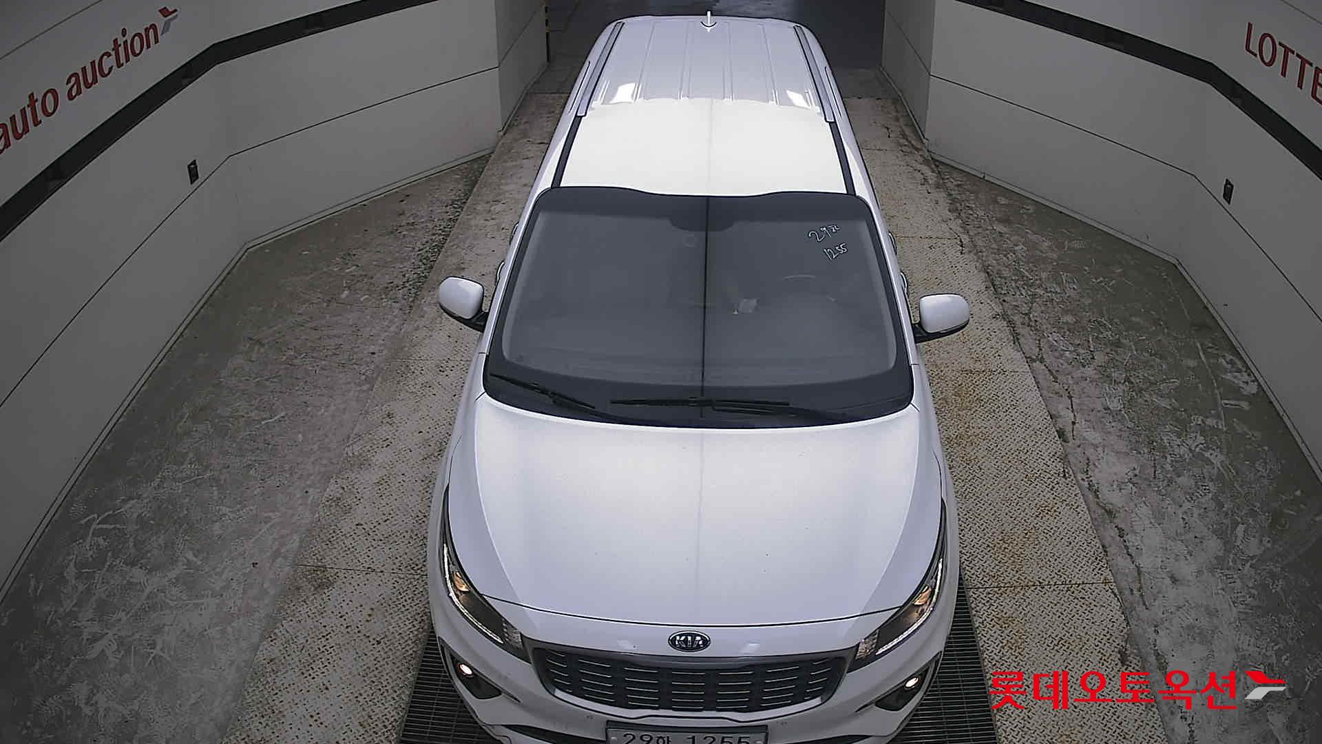 2019 - kia carnival
