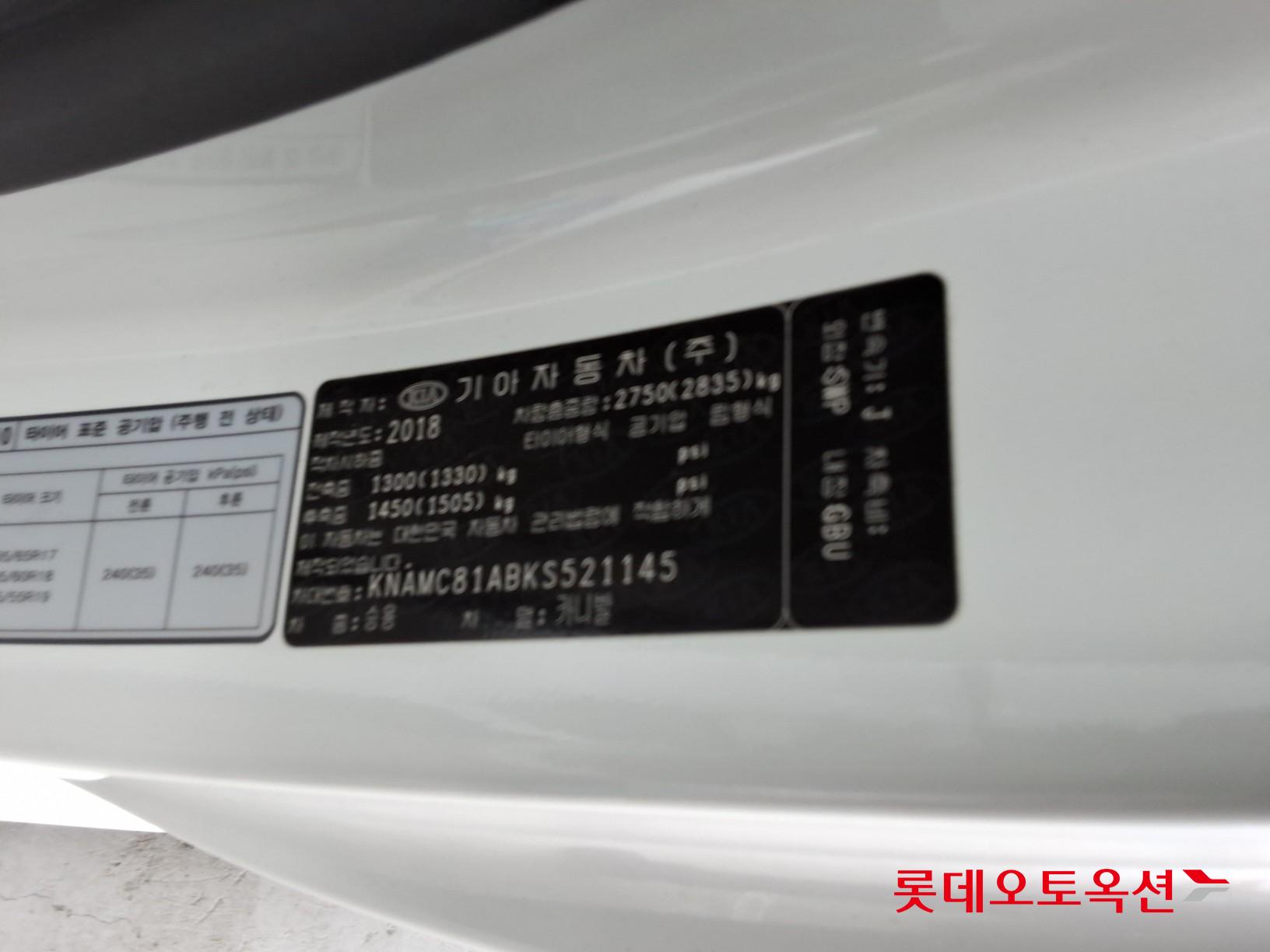 2019 - kia carnival